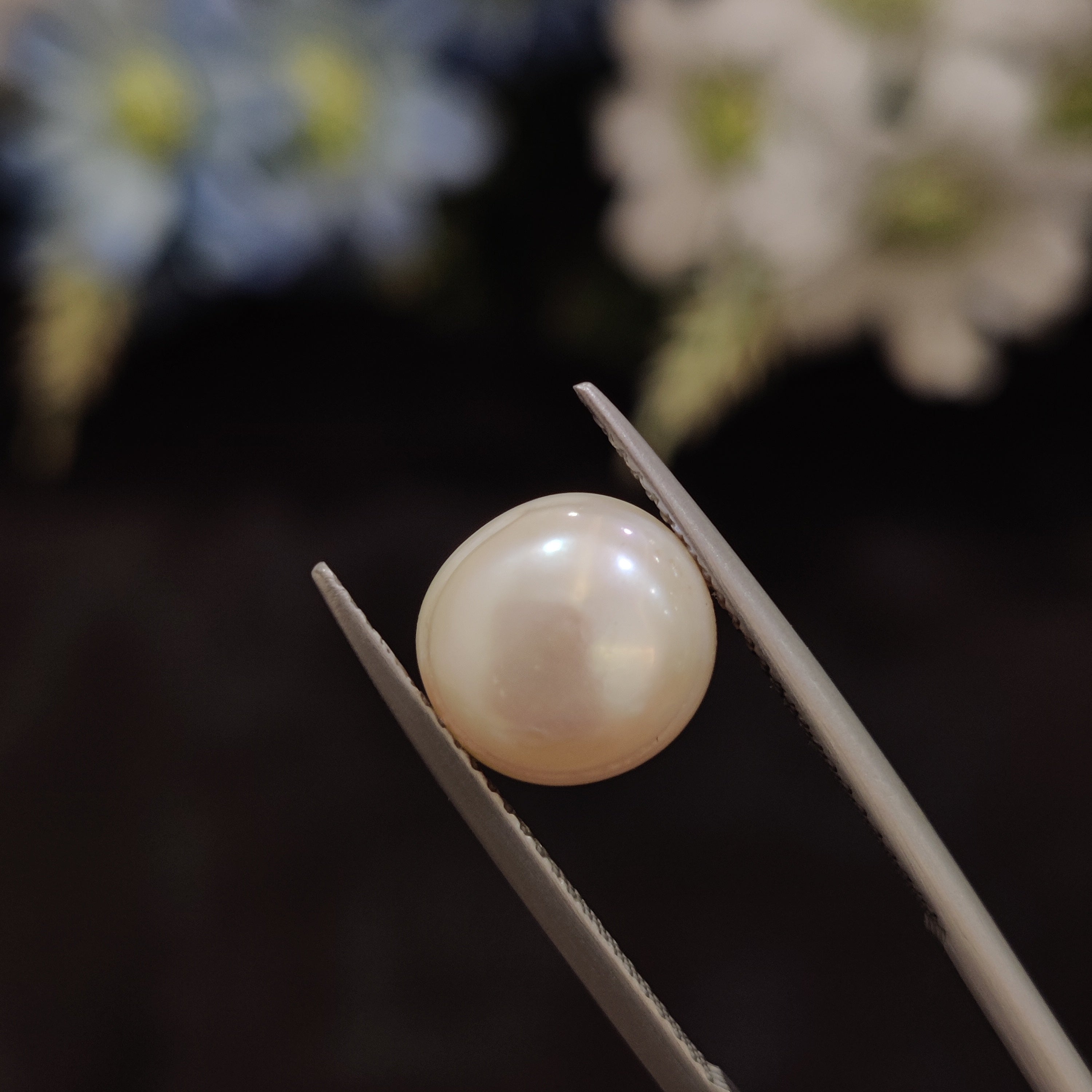 Pearl | Pearl 162 | 5.01 Carat