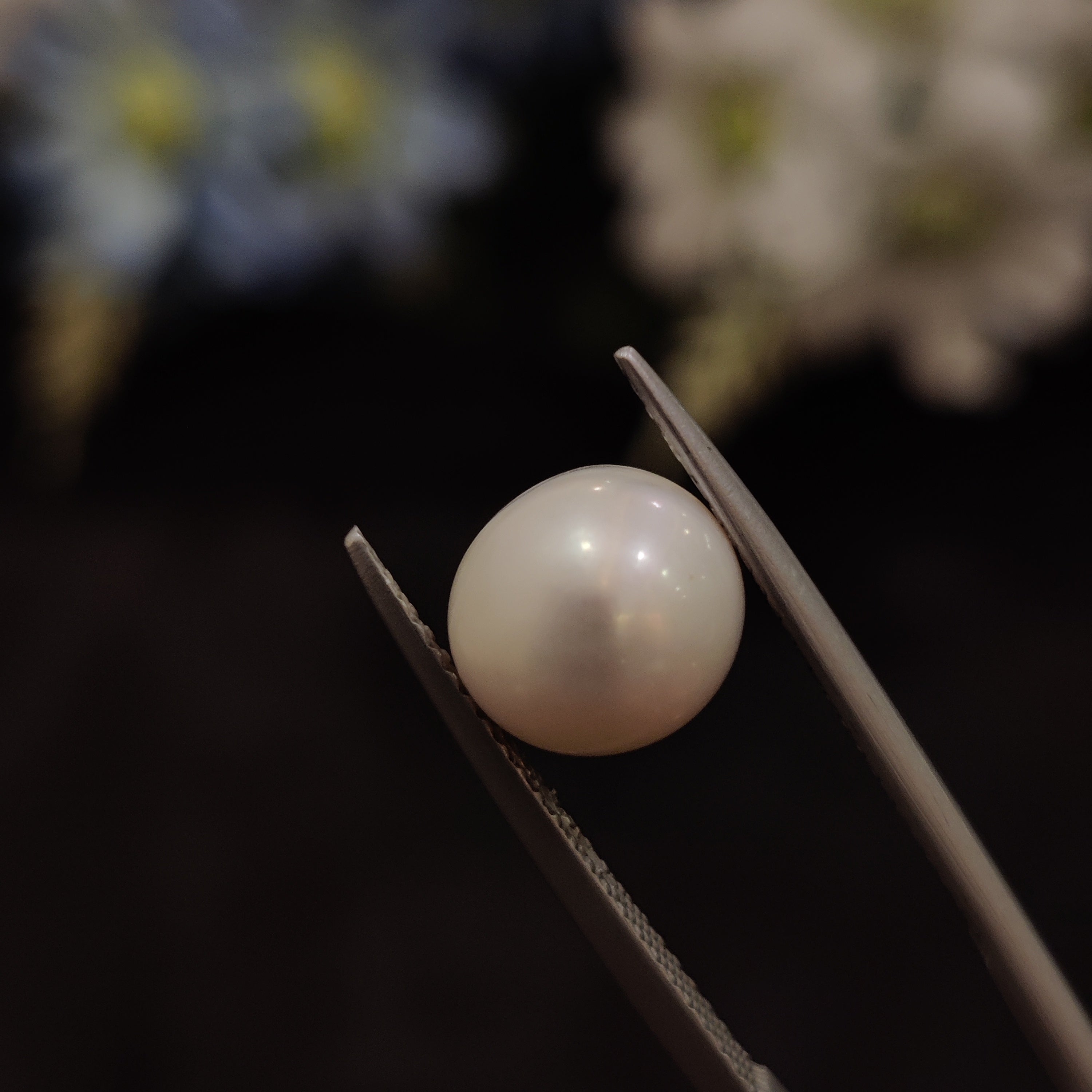 Pearl | Pearl 181 | 5.06 Carat