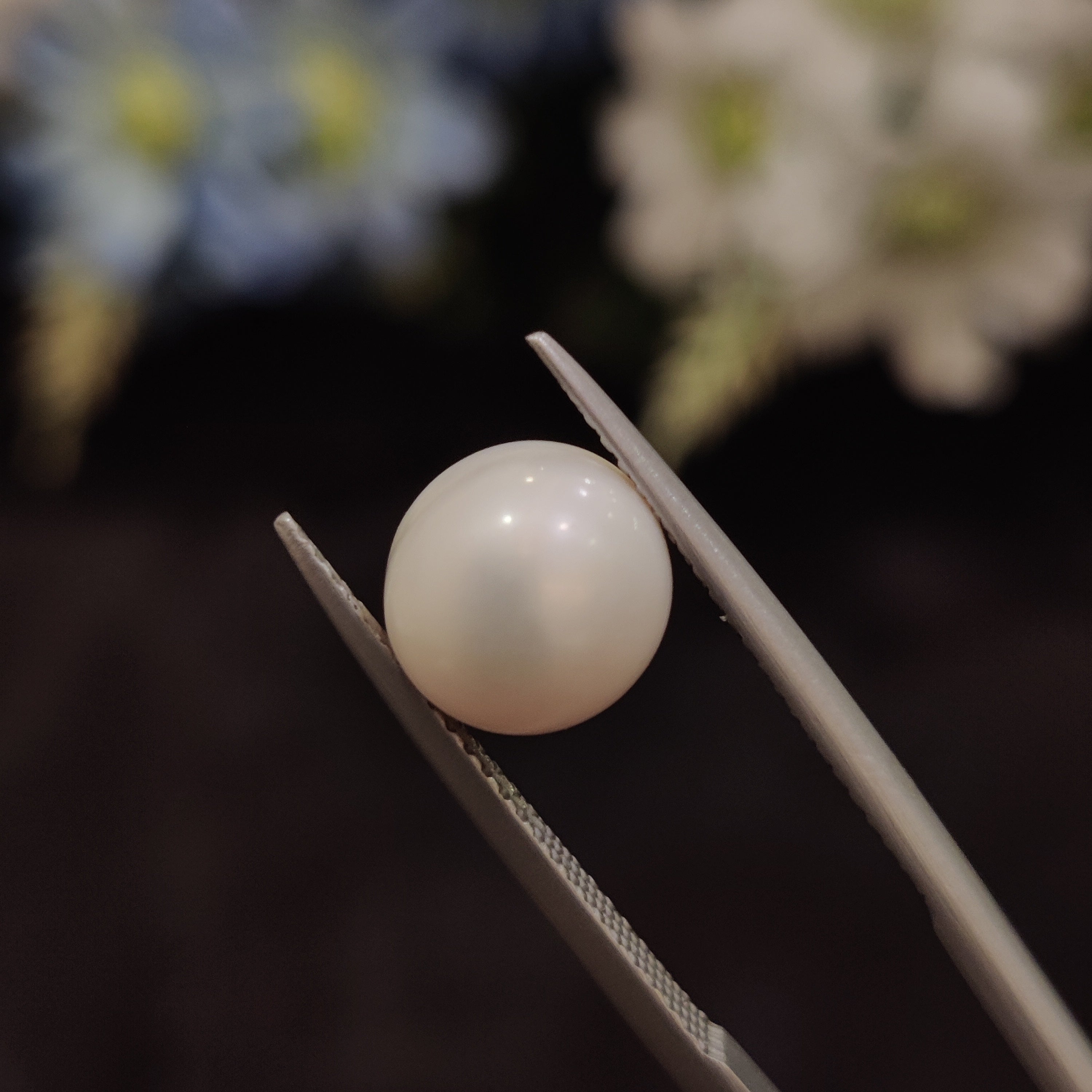 Pearl | Pearl 181 | 5.06 Carat