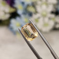 Citrine  | Citrine 29 | 2.71 Carat