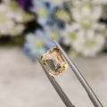 Citrine  | Citrine 25 | 2.75 Carat