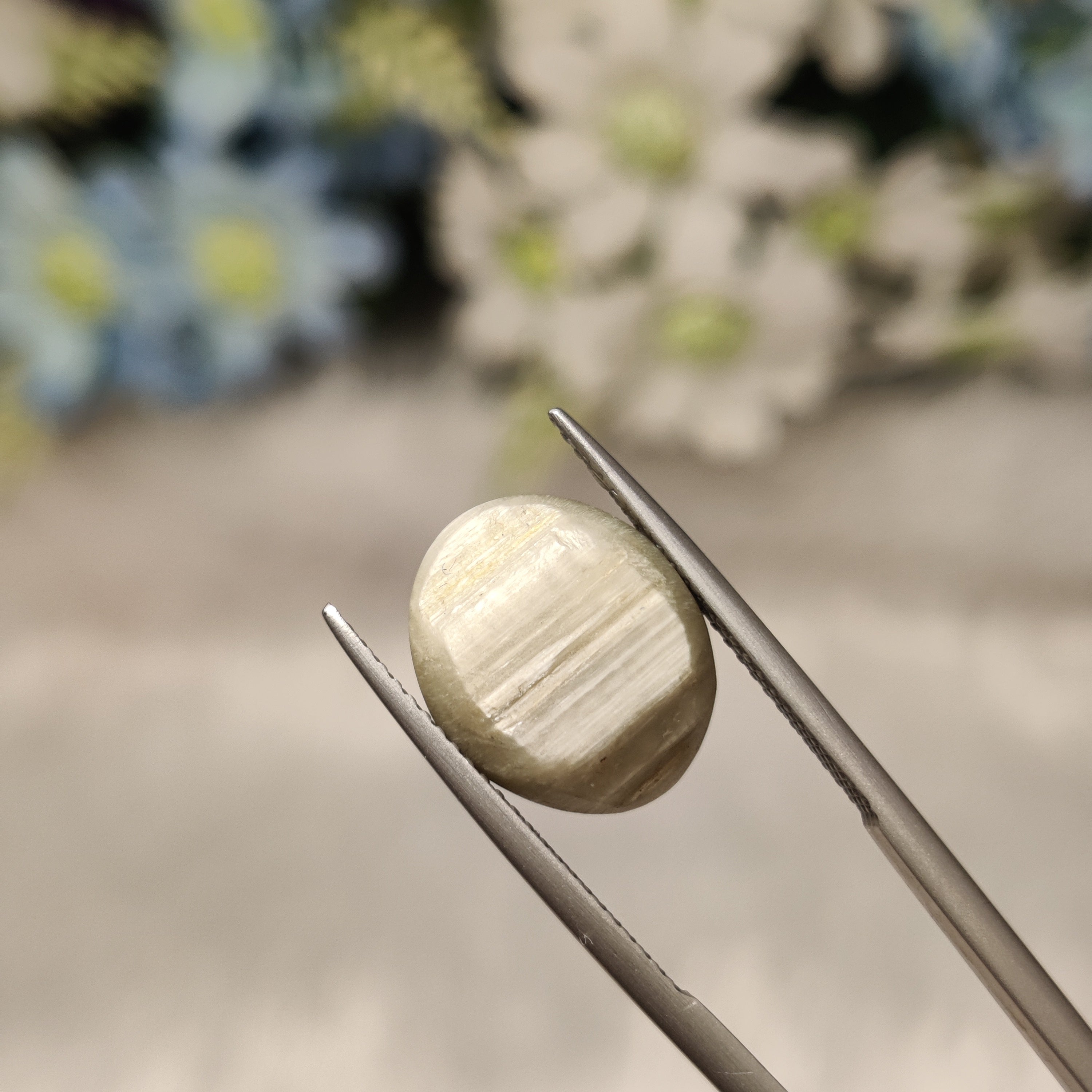 Cats Eye | CE 100 | 8.94 Carat