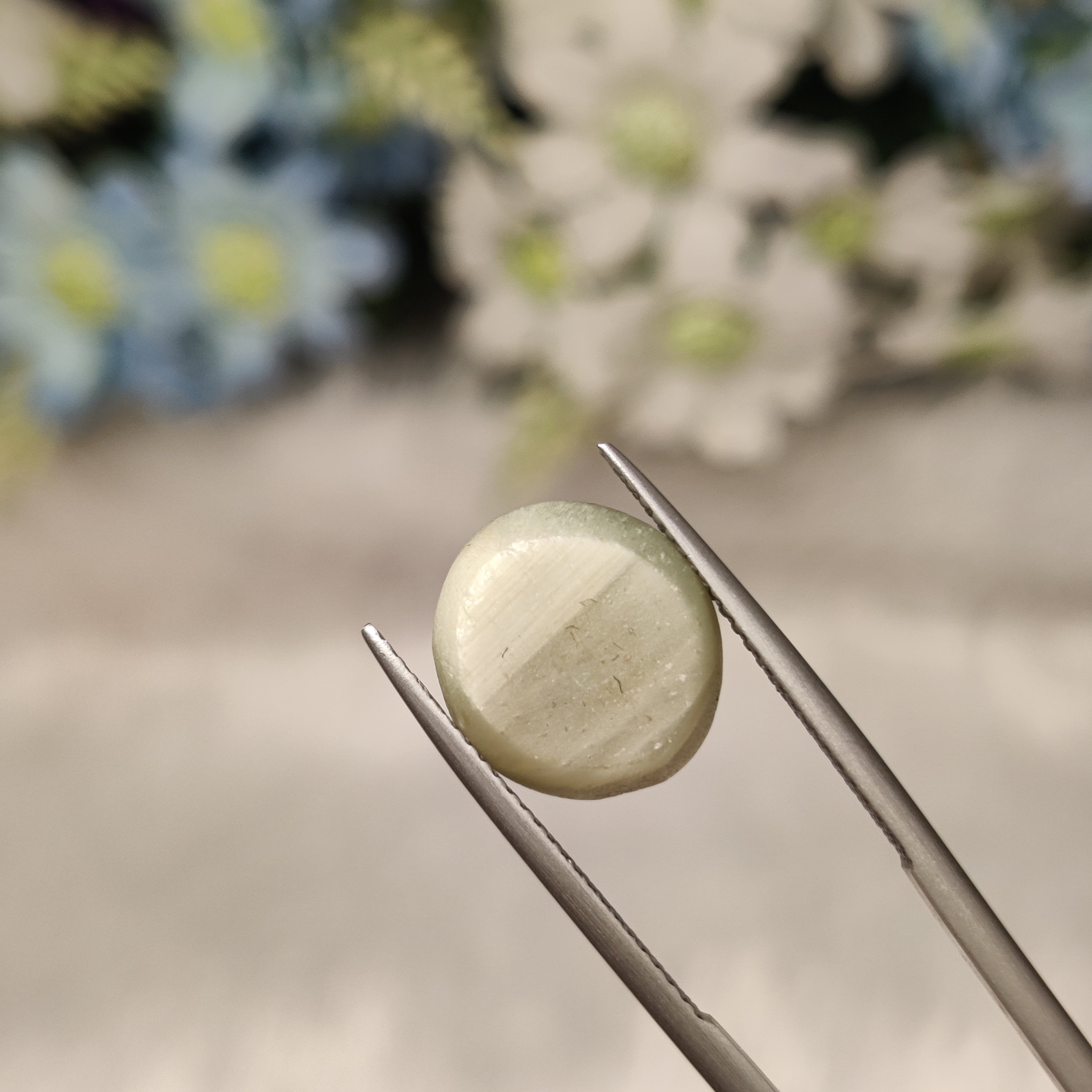 Cats Eye | CE 28 | 8.55 Carat