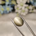 Cats Eye | CE 102 | 8.52 Carat