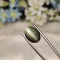 Cats Eye | CE 63 | 8.45 Carat