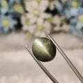 Cats Eye | CE 52 | 8.92 Carat