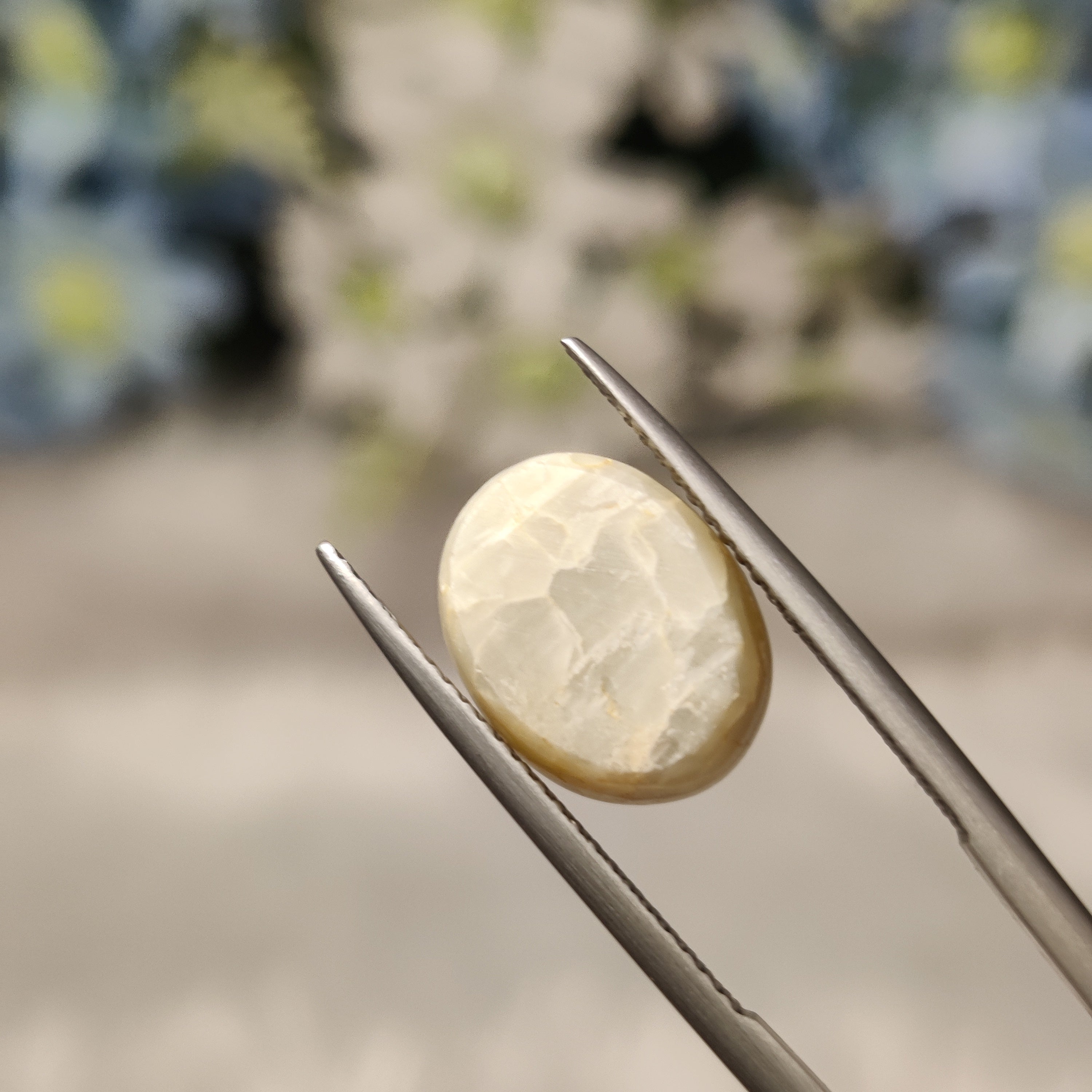 Cats Eye | CE 80 | 8.3 Carat