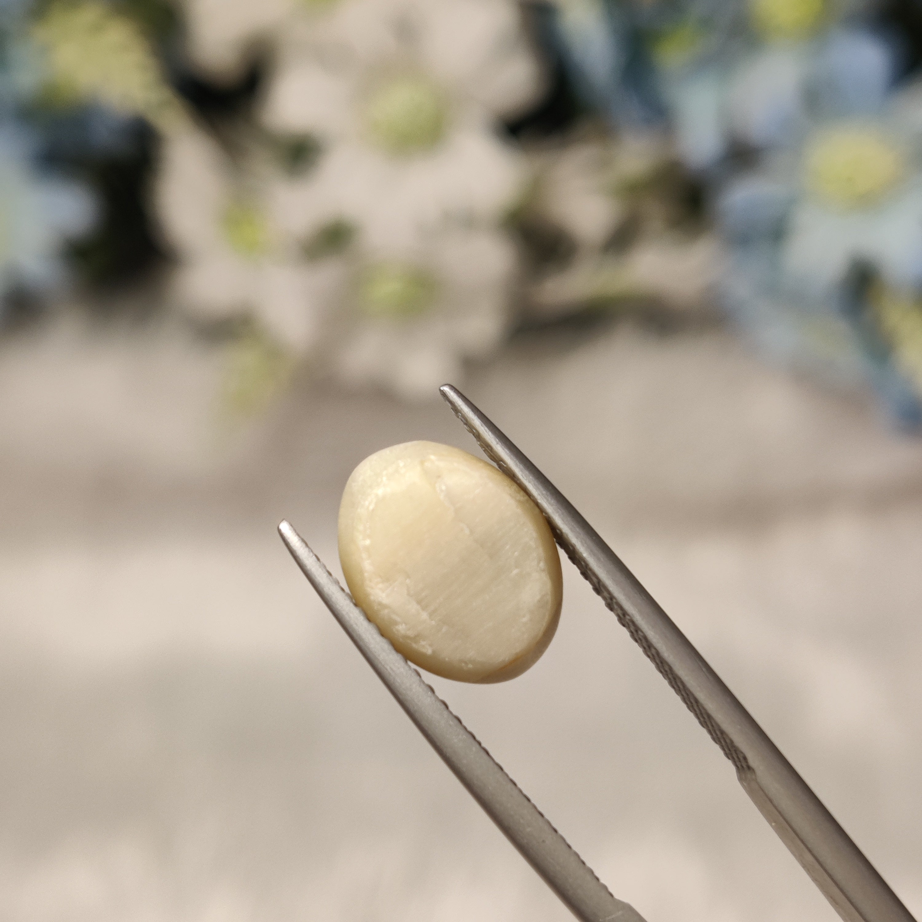 Cats Eye | CE 68 | 4.17 Carat