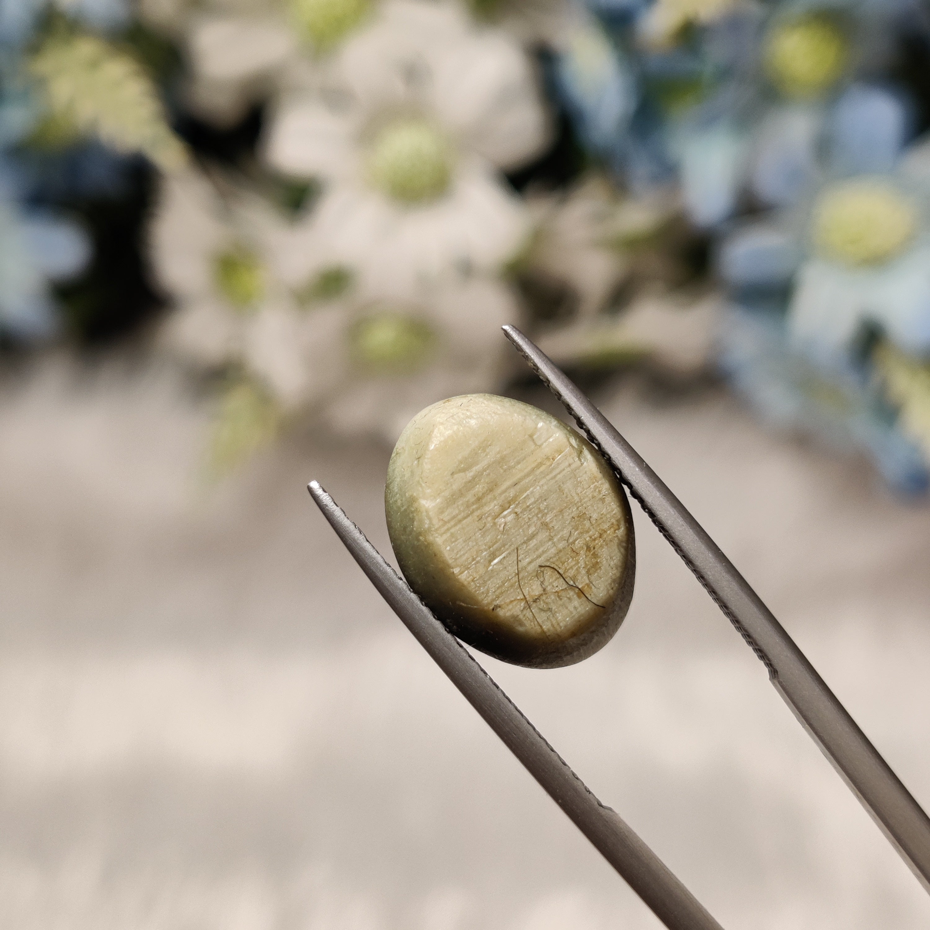 Cats Eye | CE 42 | 10.03 Carat