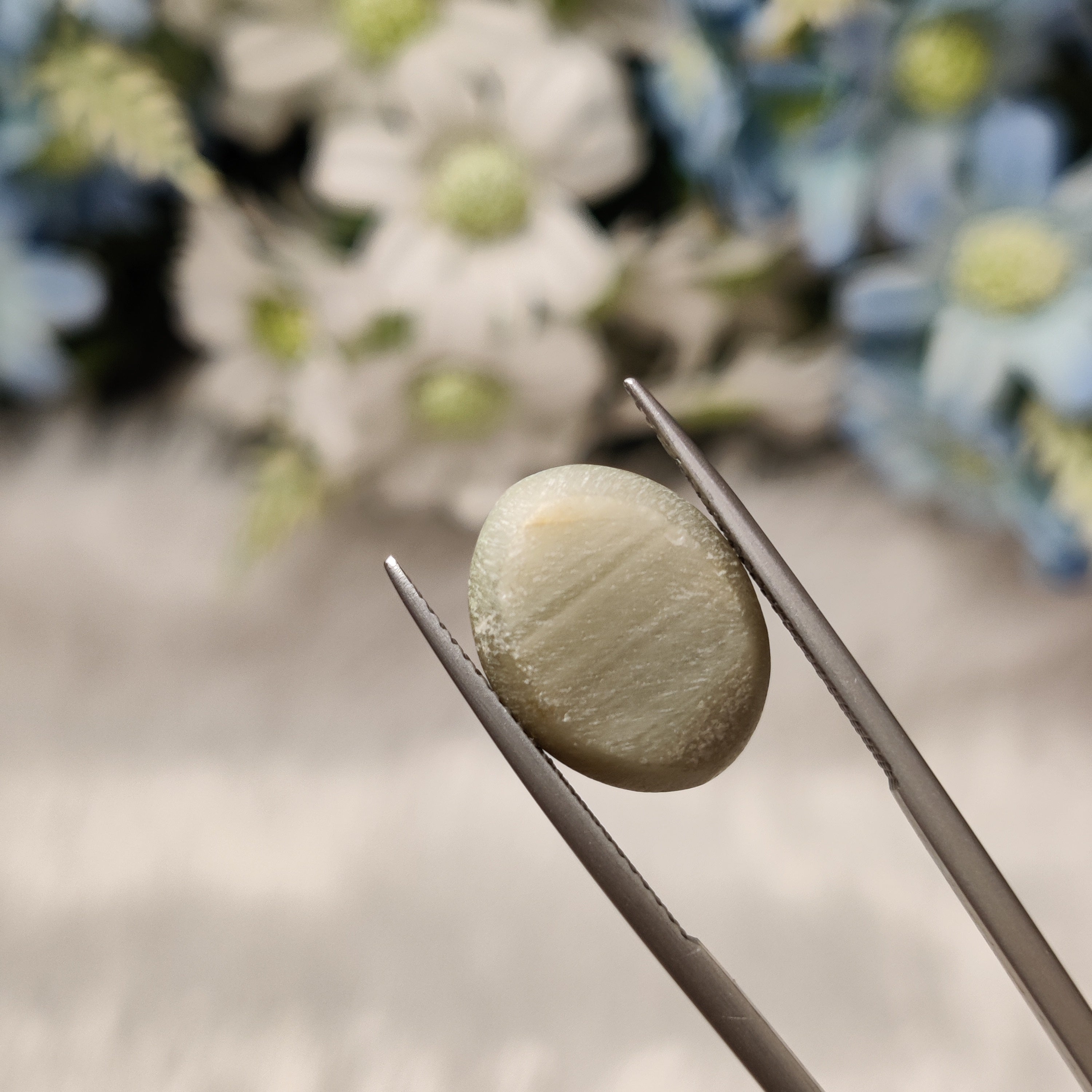 Cats Eye | CE 82 | 11.26 Carat