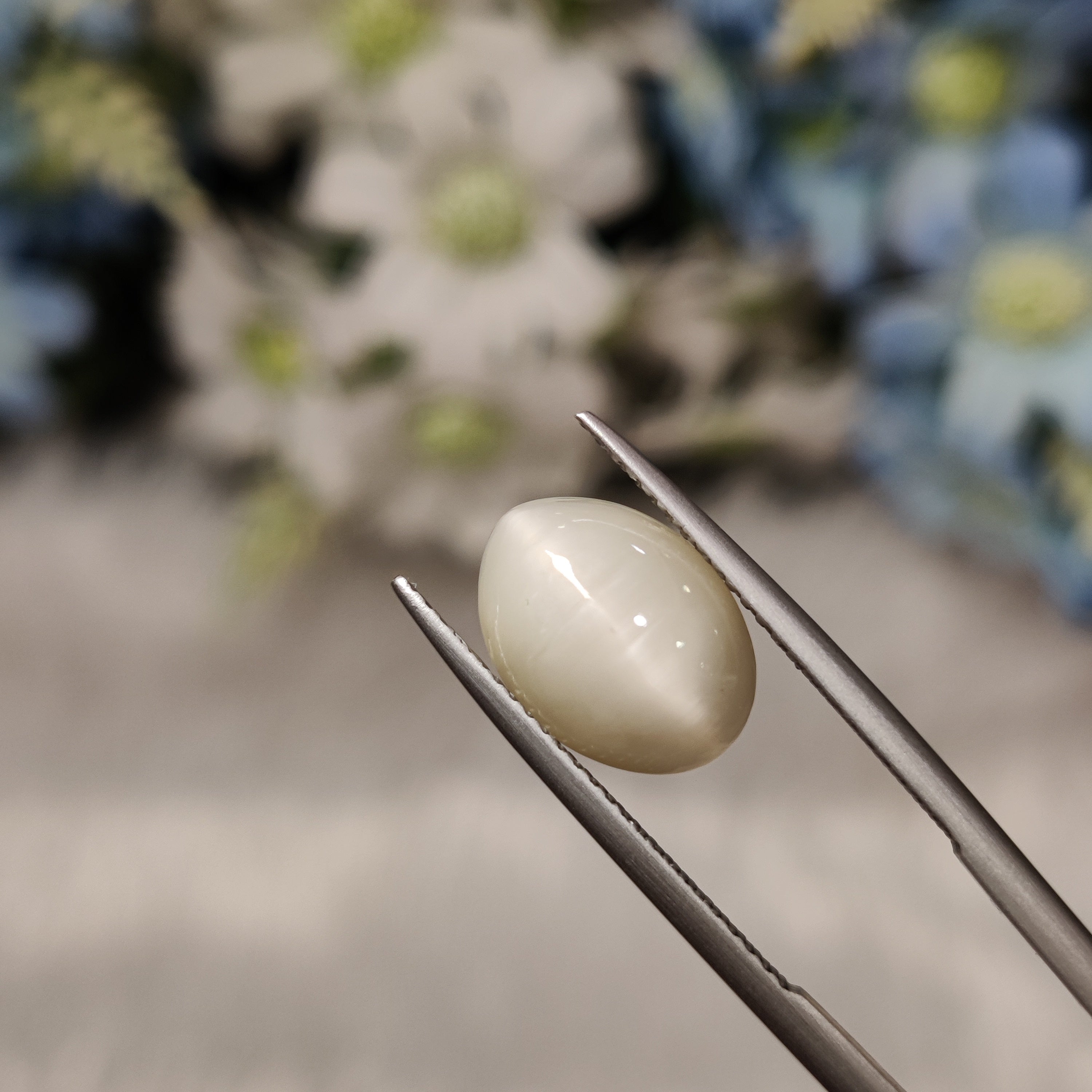 Cats Eye | CE 79 | 5.03 Carat