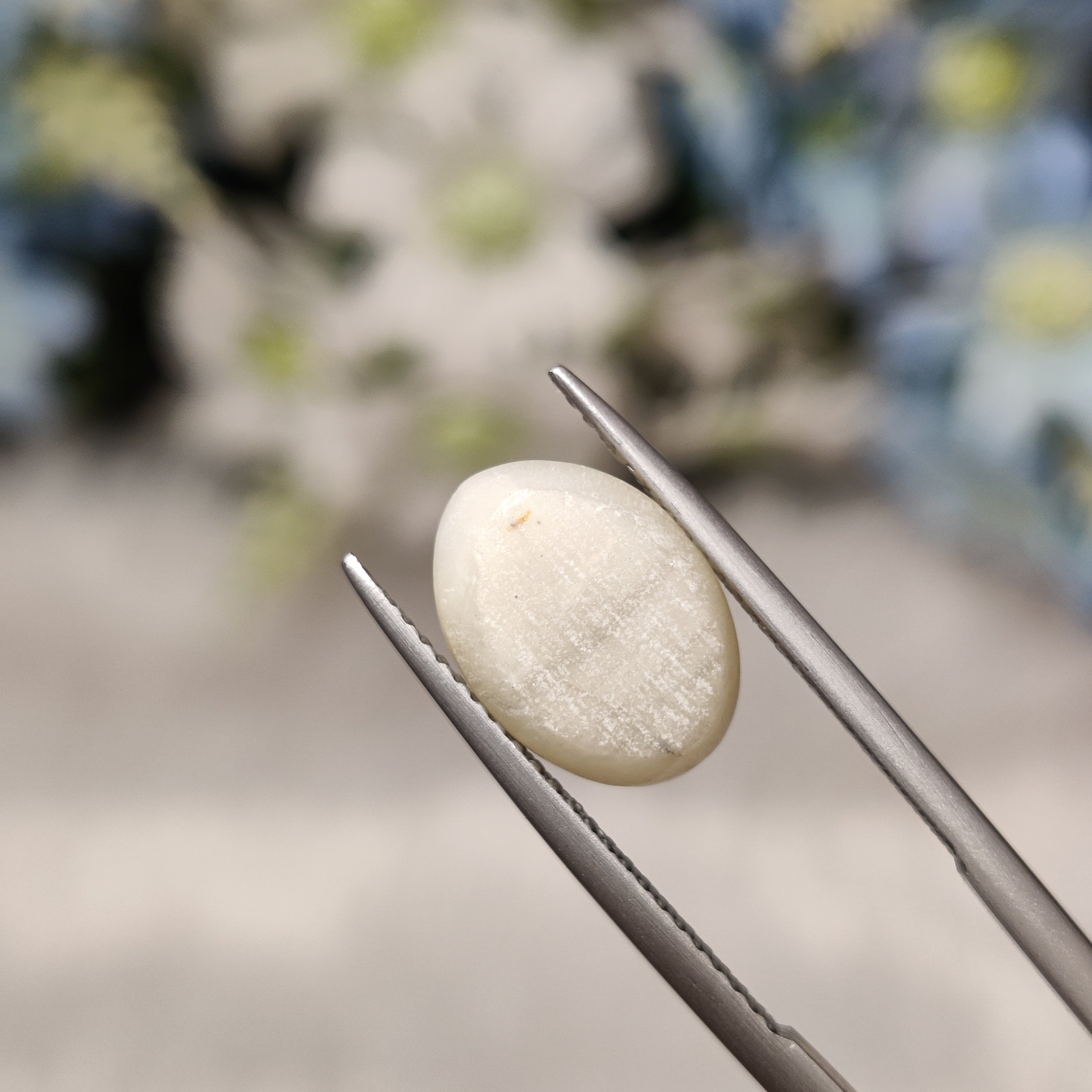 Cats Eye | CE 79 | 5.03 Carat