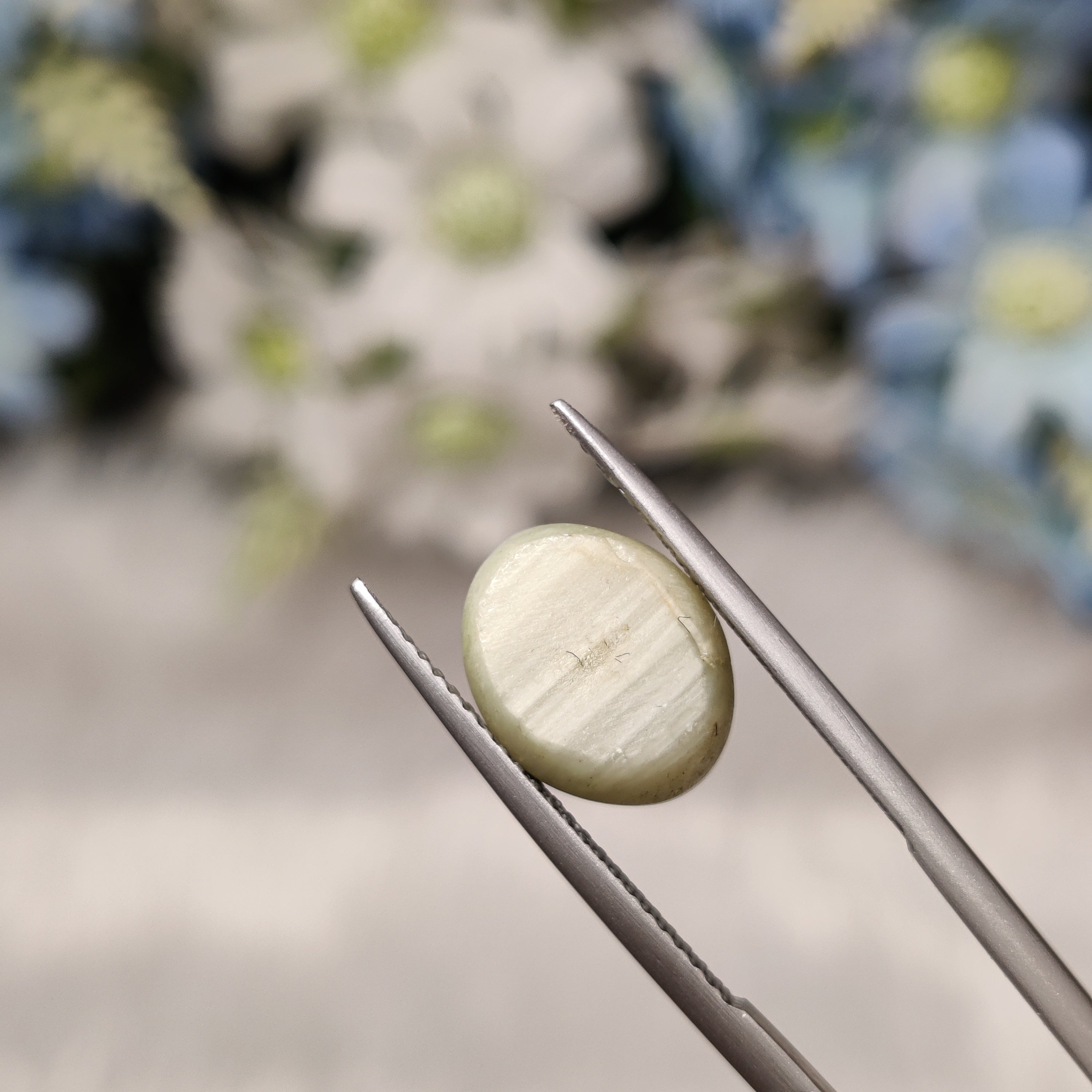 Cats Eye | CE 7 | 5.75 Carat