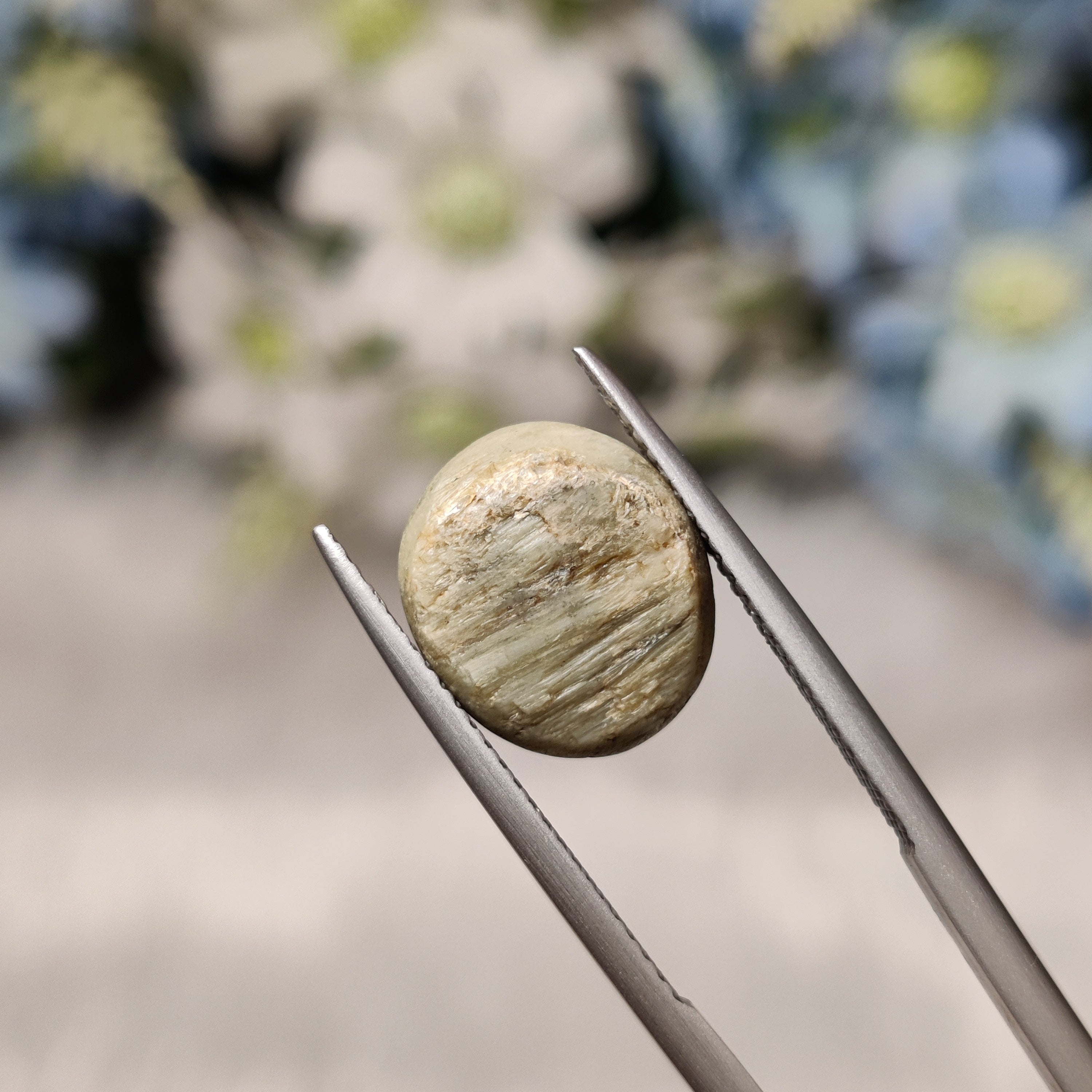 Cats Eye | CE 98 | 5.91 Carat