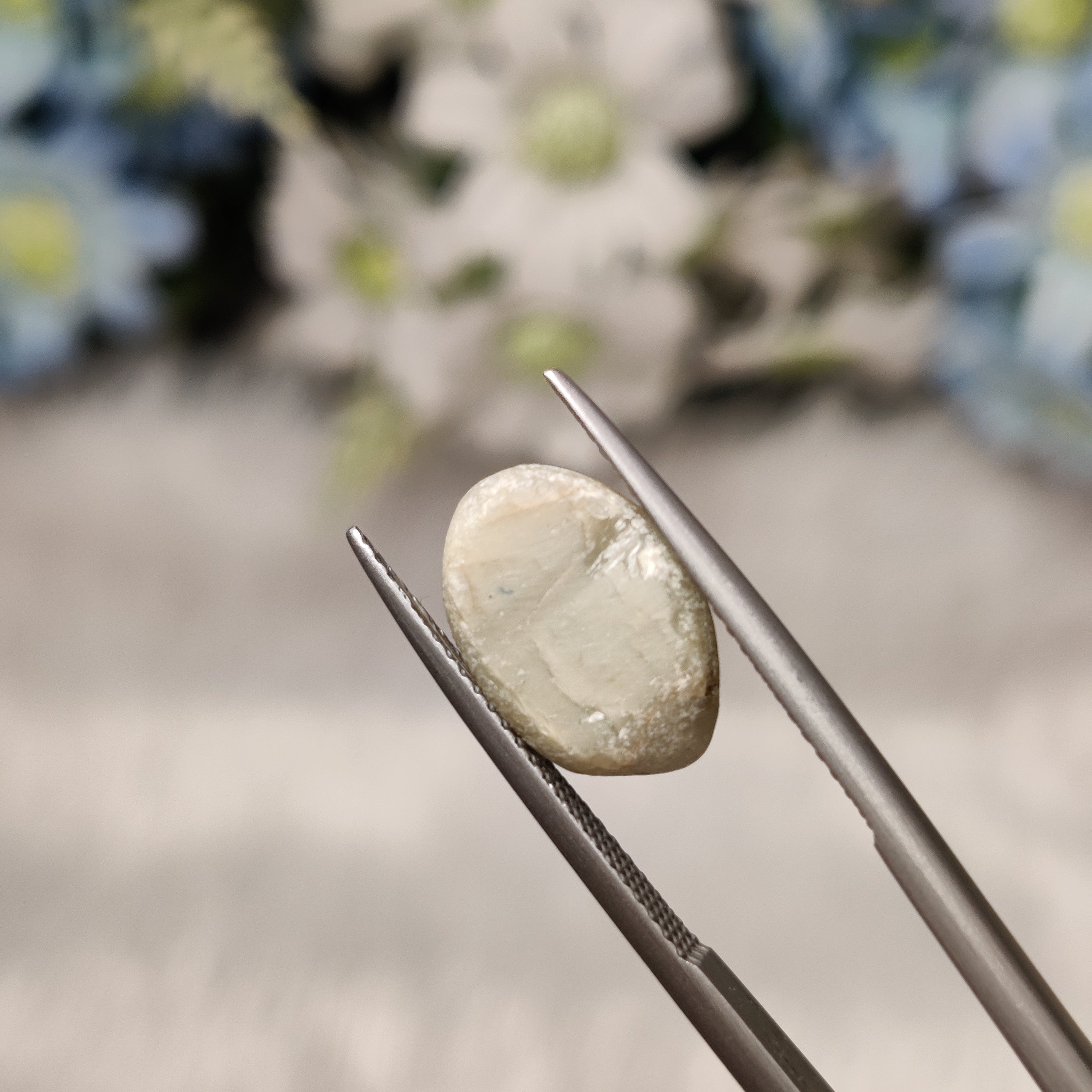 Cats Eye | CE 91 | 5.86 Carat