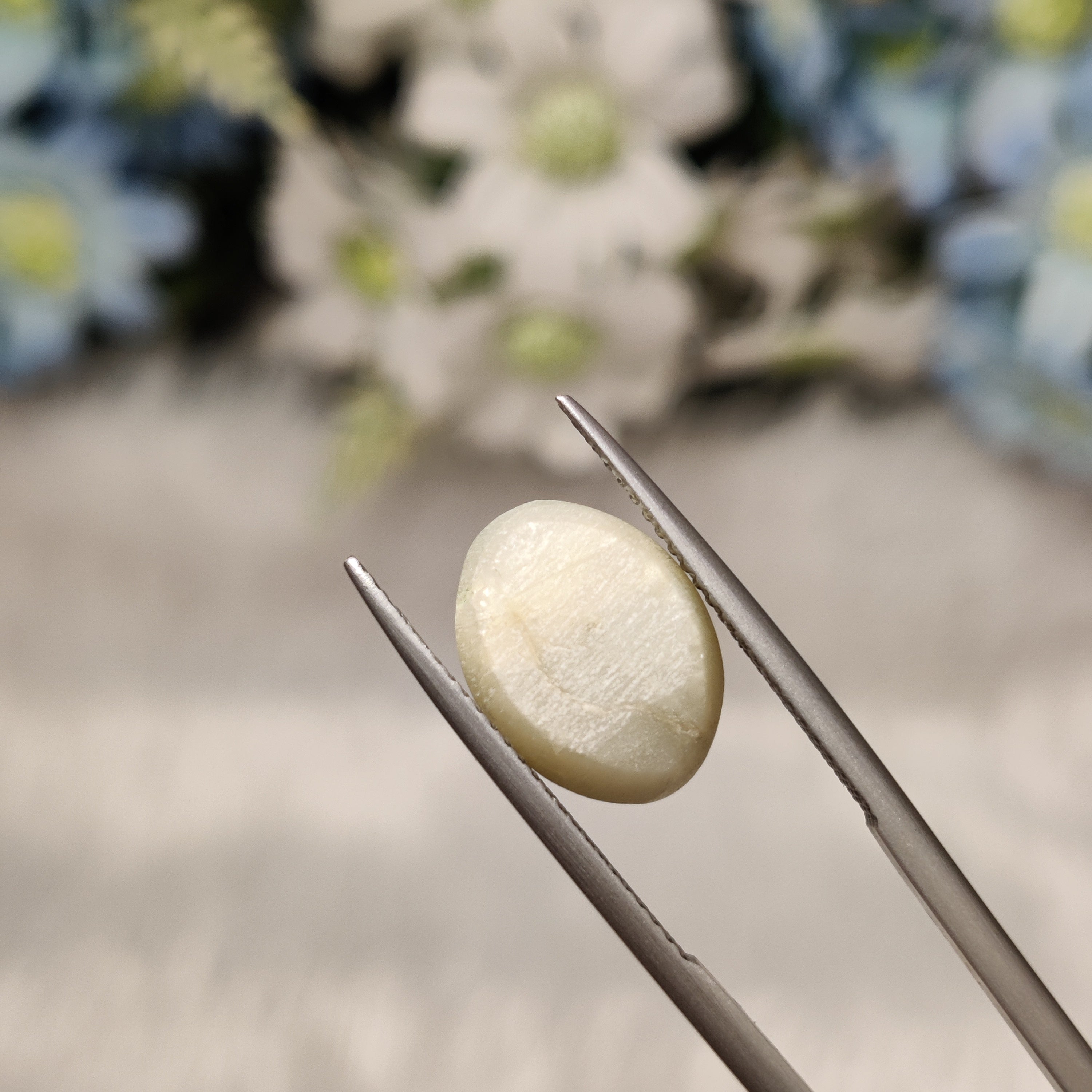 Cats Eye | CE 93 | 6.73 Carat