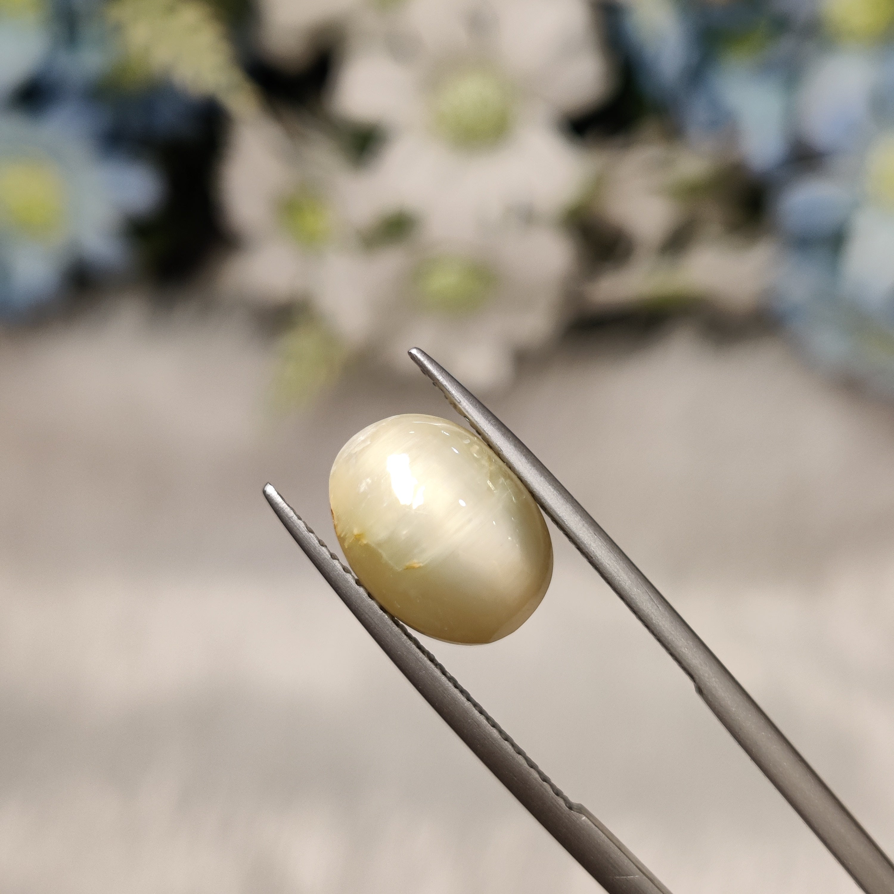 Cats Eye | CE 76 | 6.31 Carat