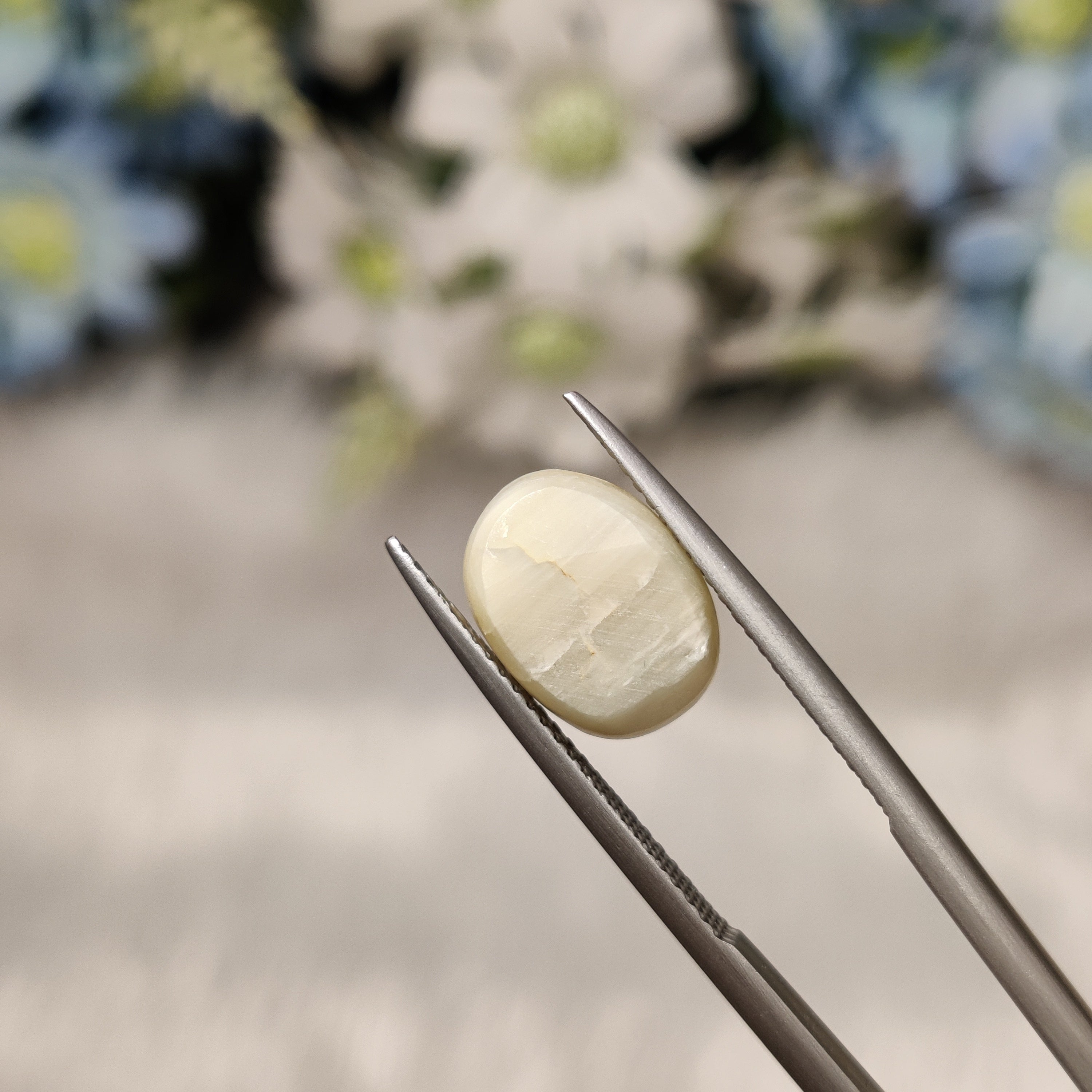 Cats Eye | CE 76 | 6.31 Carat