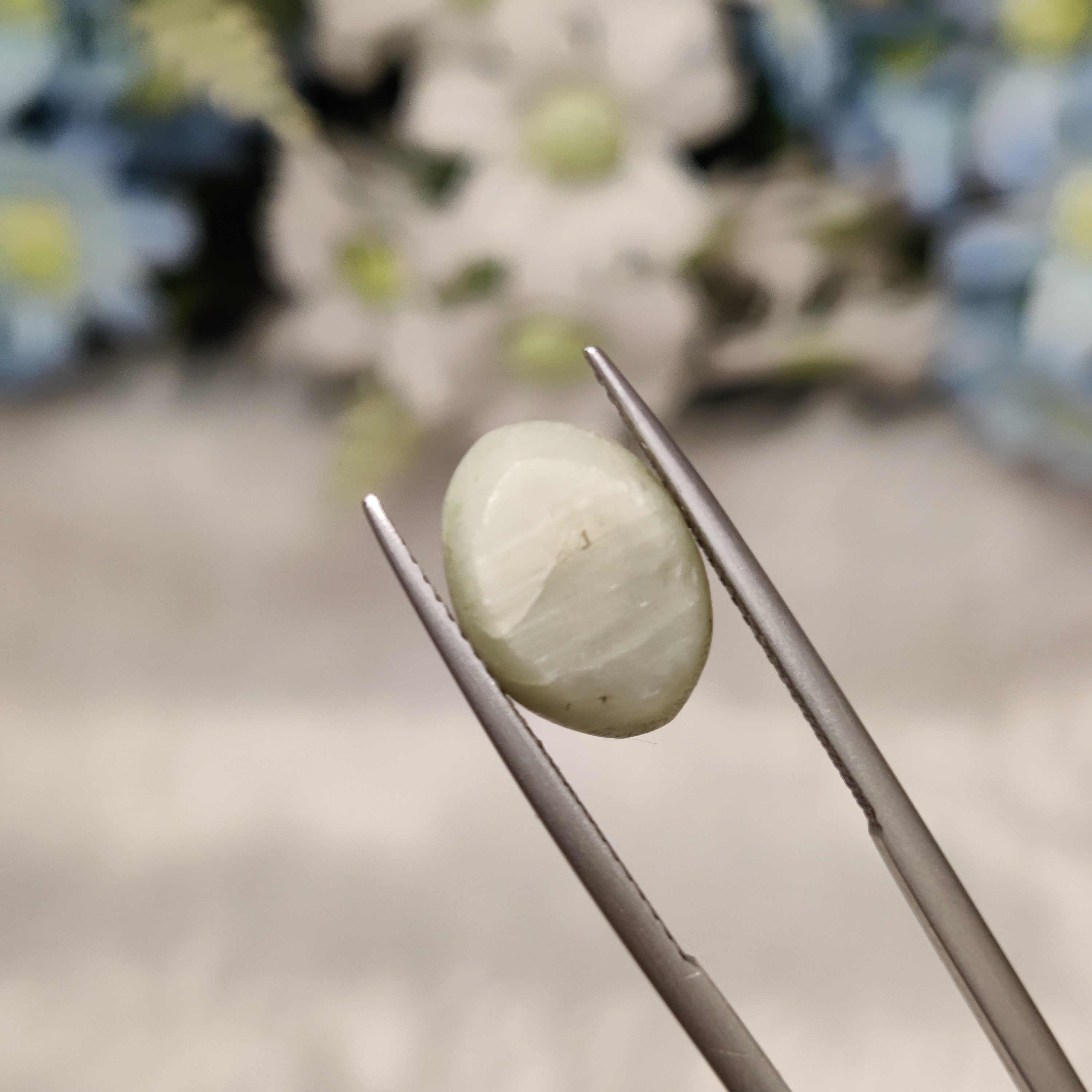 Cats Eye | CE 27 | 6.27 Carat