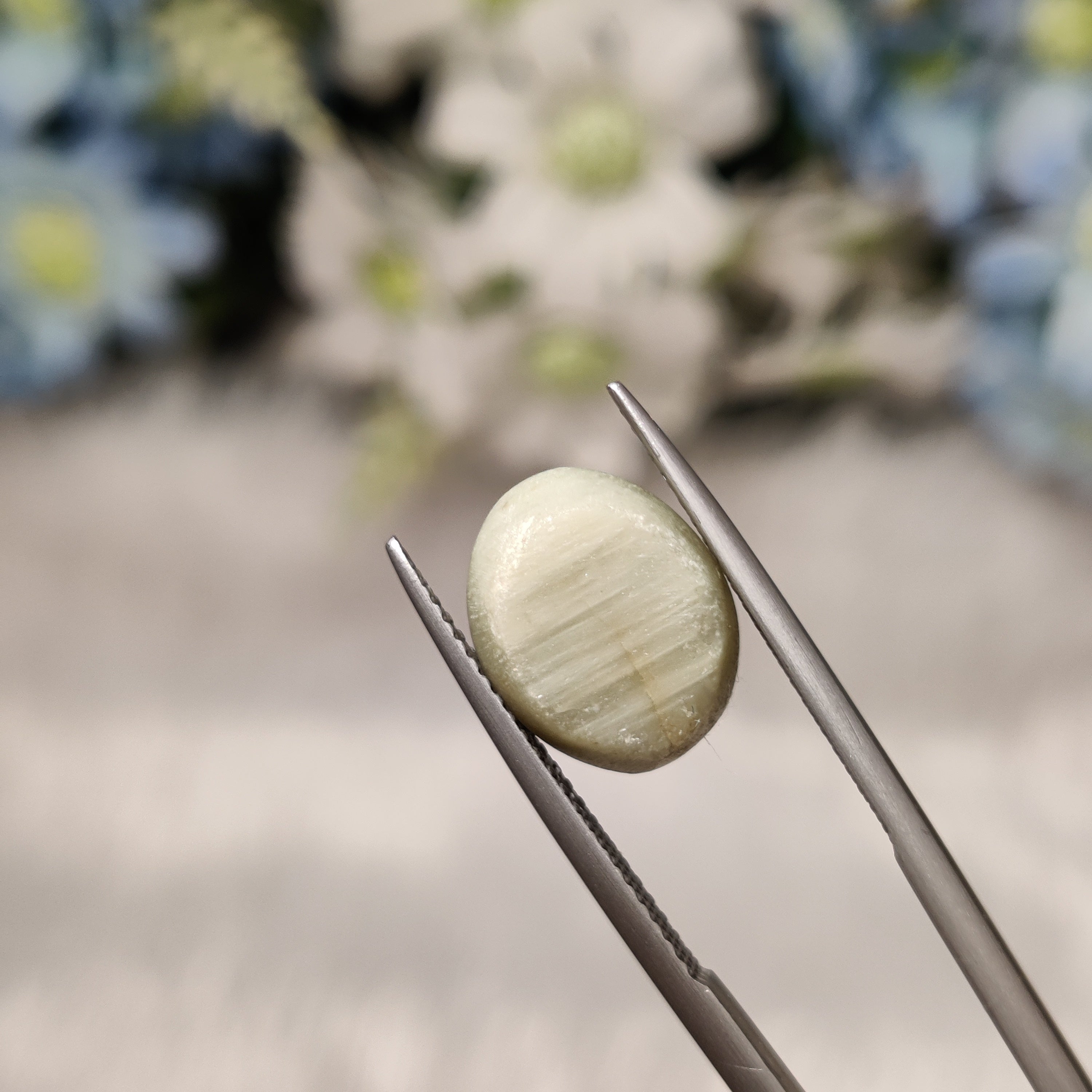 Cats Eye | CE 50 | 6.65 Carat