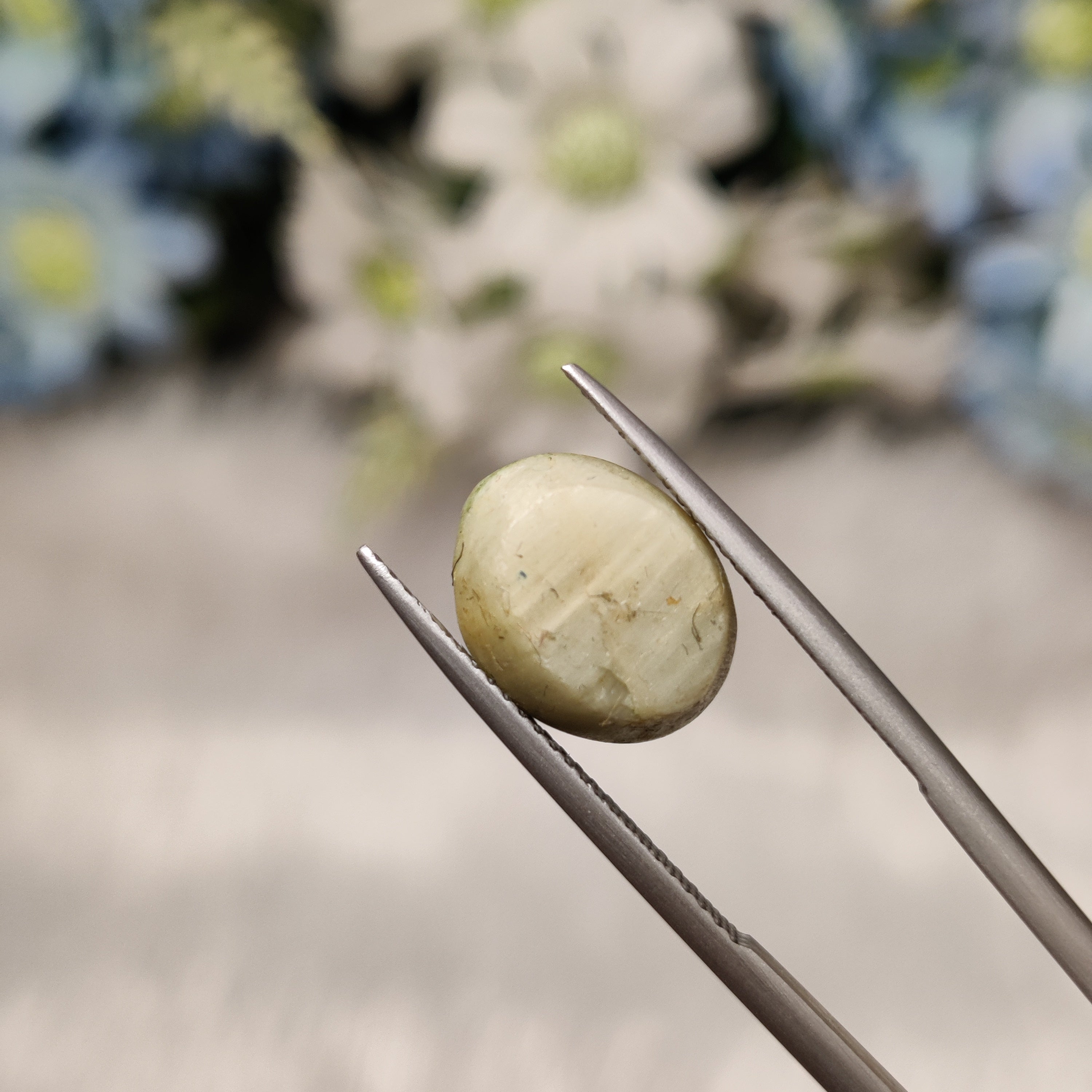 Cats Eye | CE 17 | 6.99 Carat