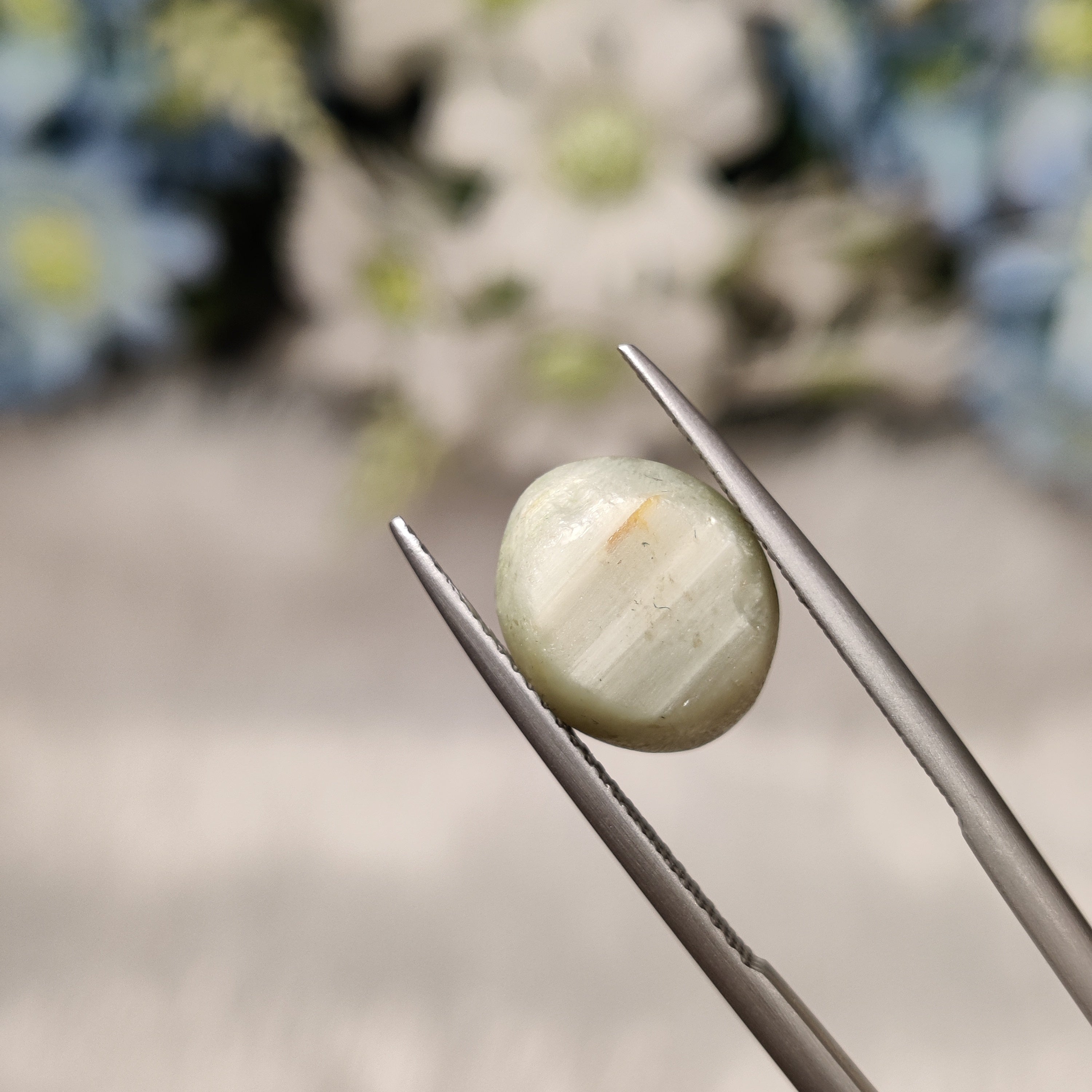 Cats Eye | CE 48 | 6.43 Carat