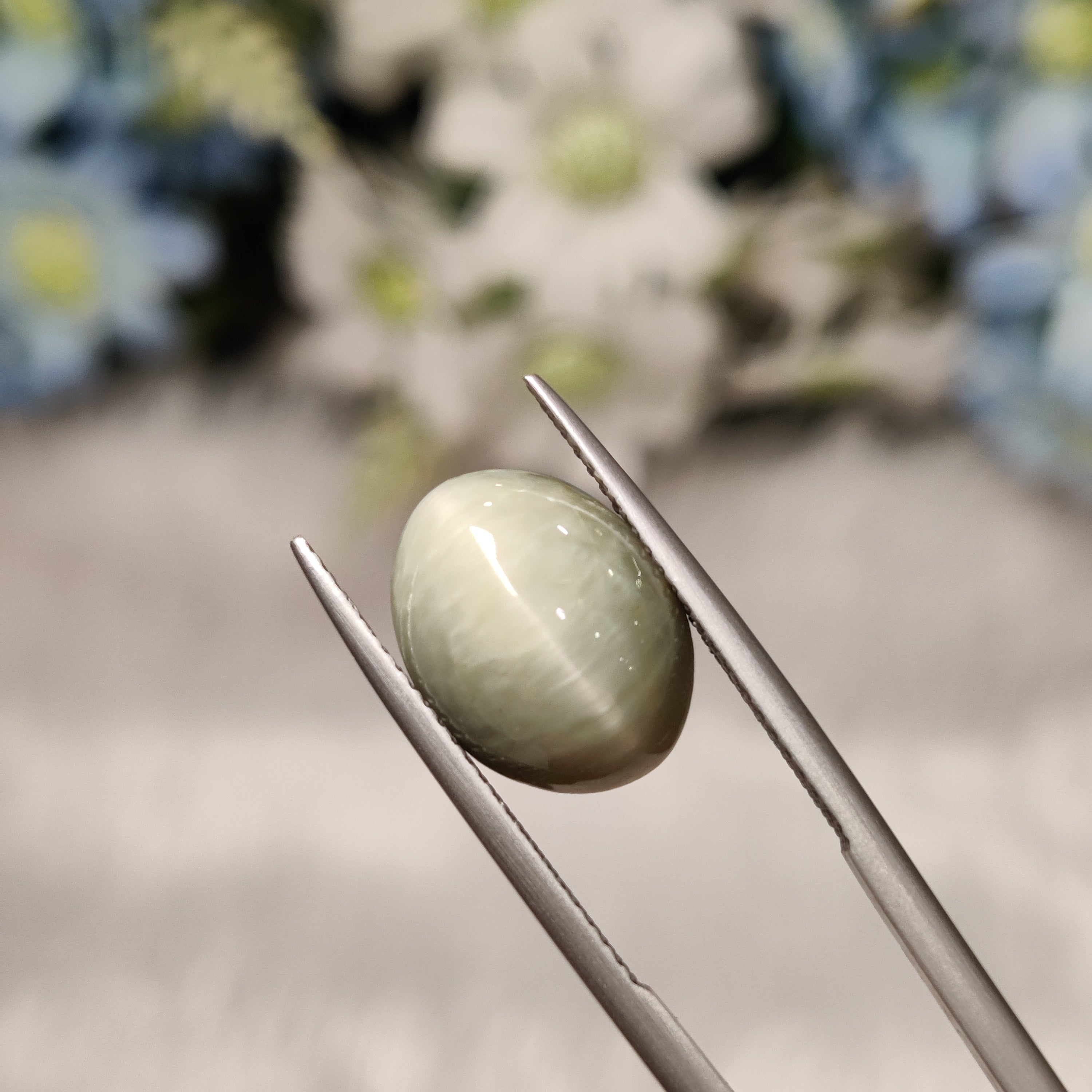 Cats Eye | CE 47 | 6.62 Carat