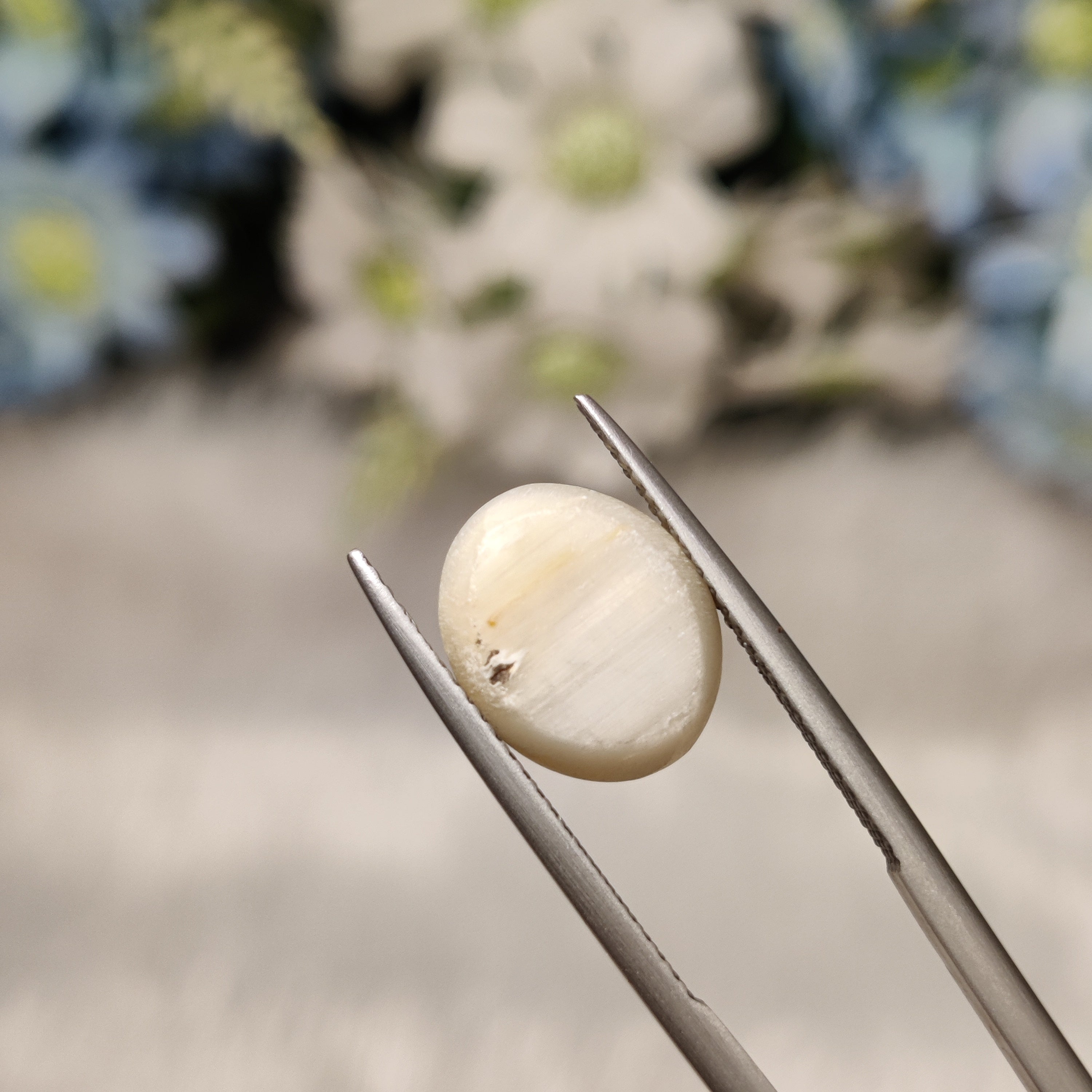 Cats Eye | CE 84 | 6.01 Carat