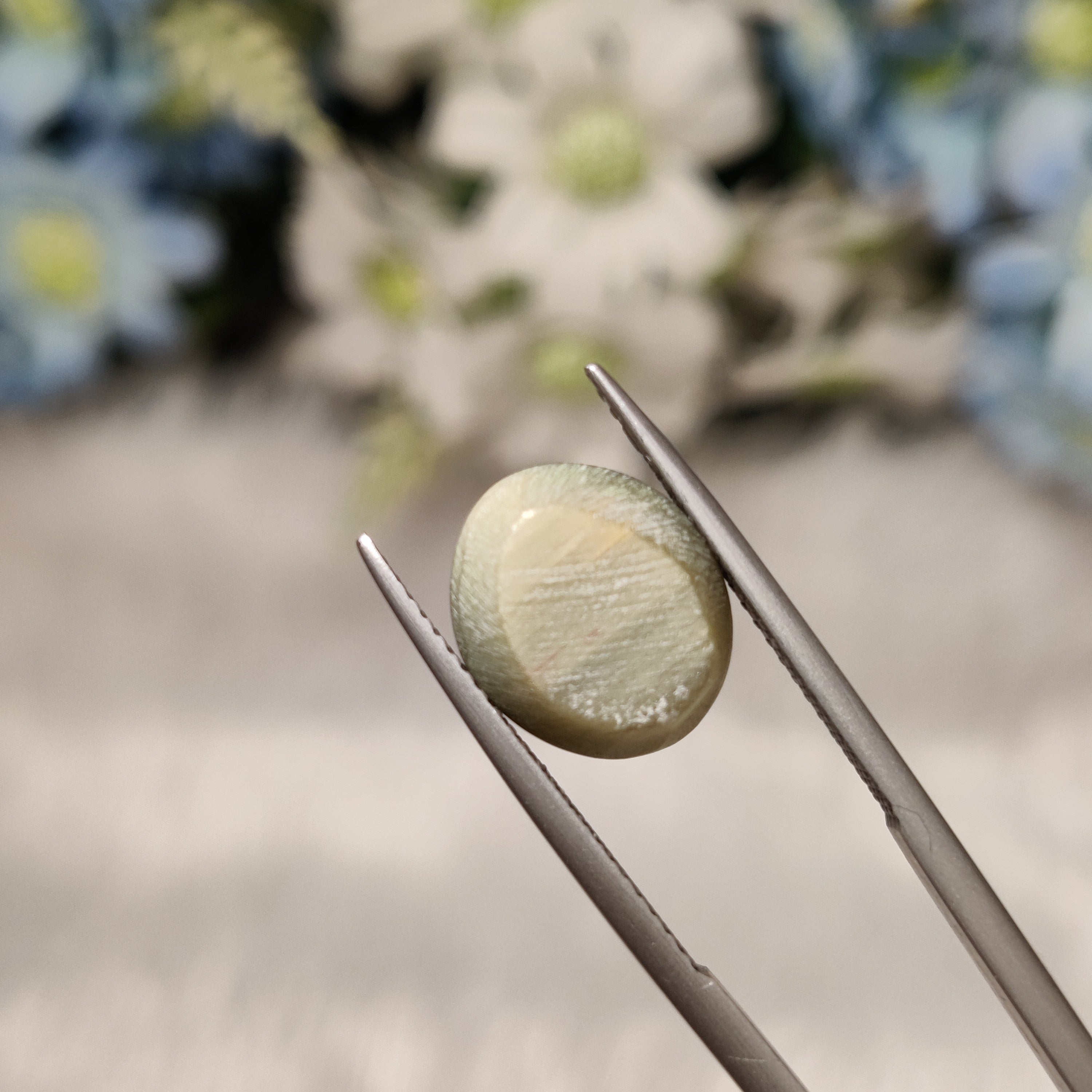 Cats Eye | CE 71 | 6.76 Carat