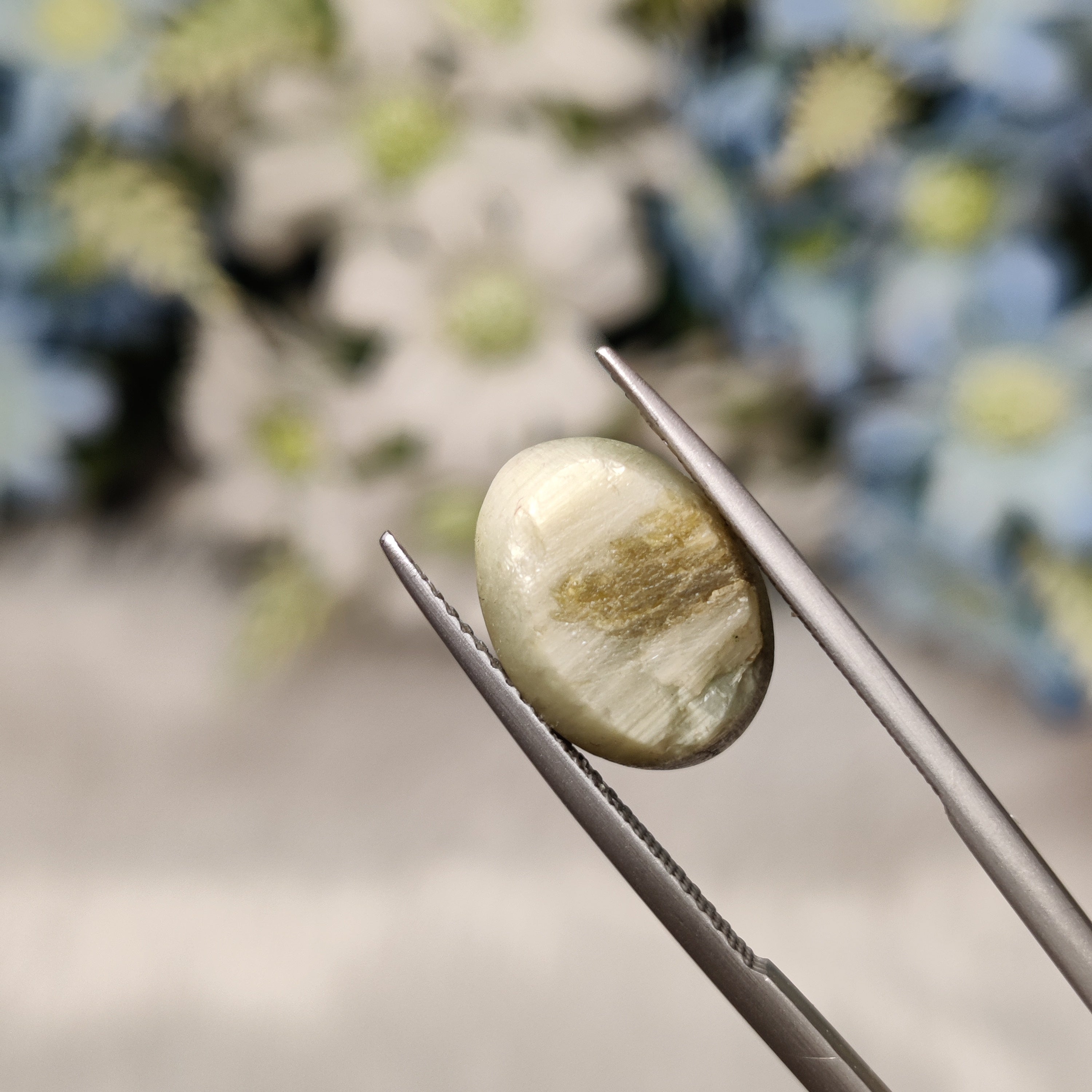 Cats Eye | CE 2 | 7.57 Carat