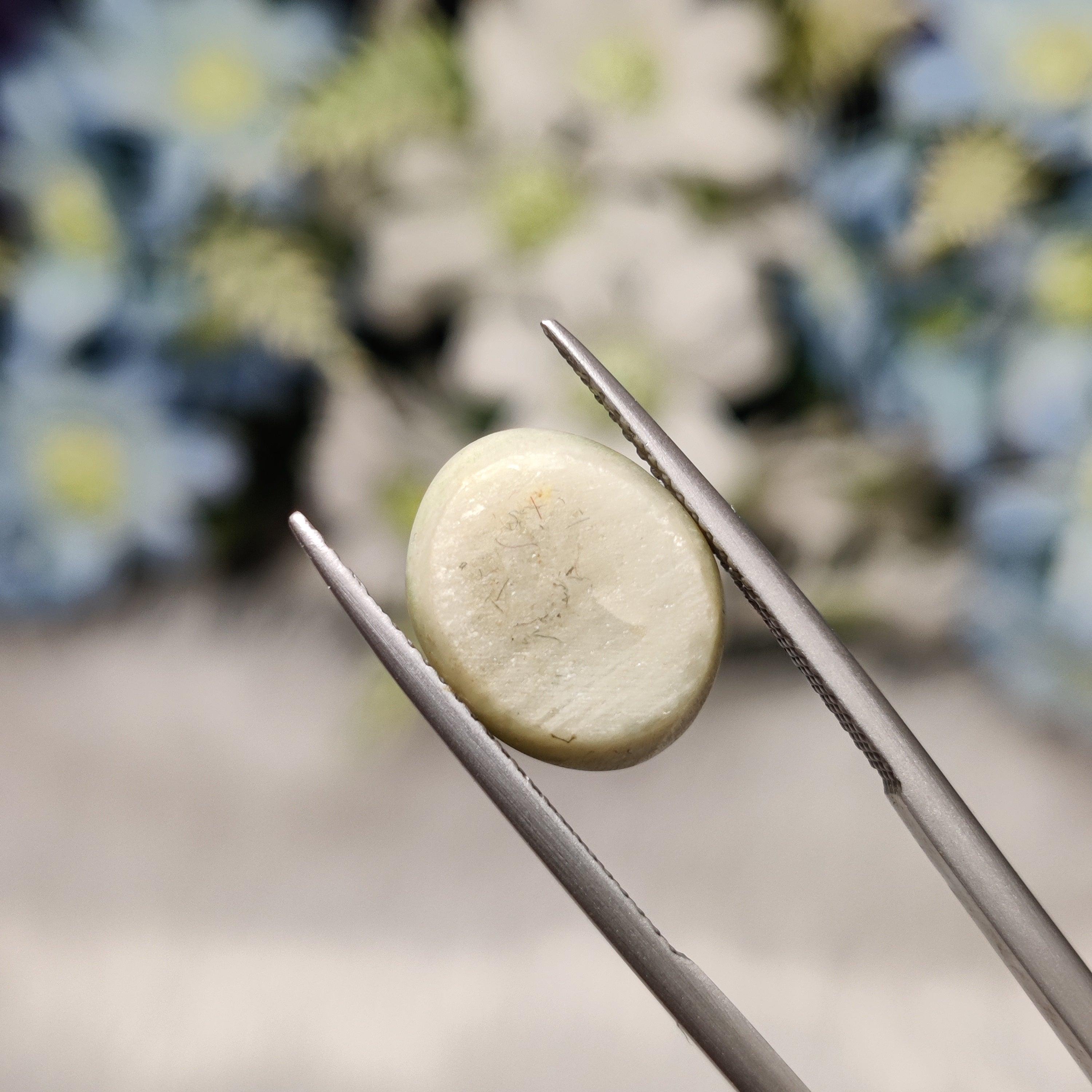 Cats Eye | CE 30 | 7.61 Carat