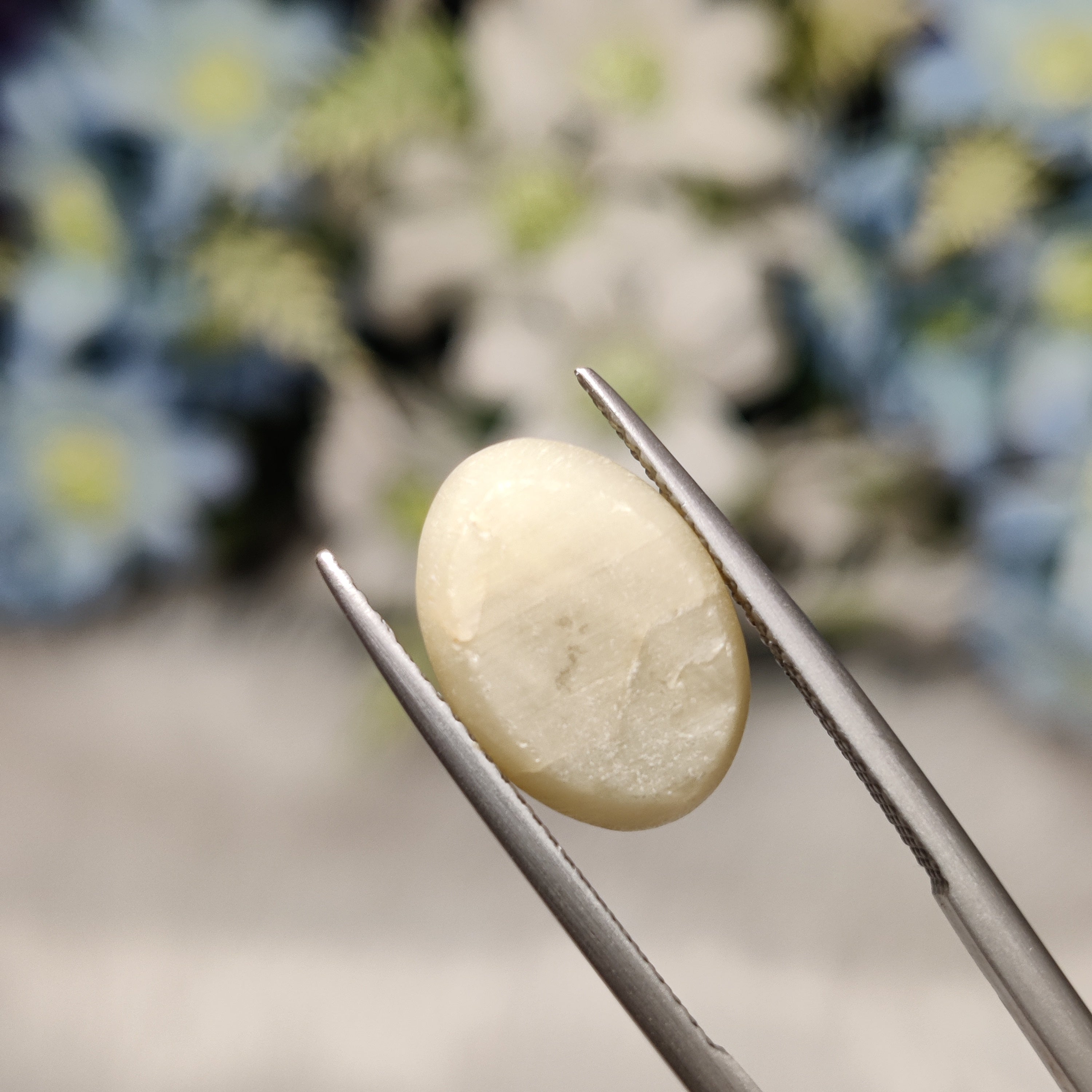 Cats Eye | CE 81 | 7.31 Carat