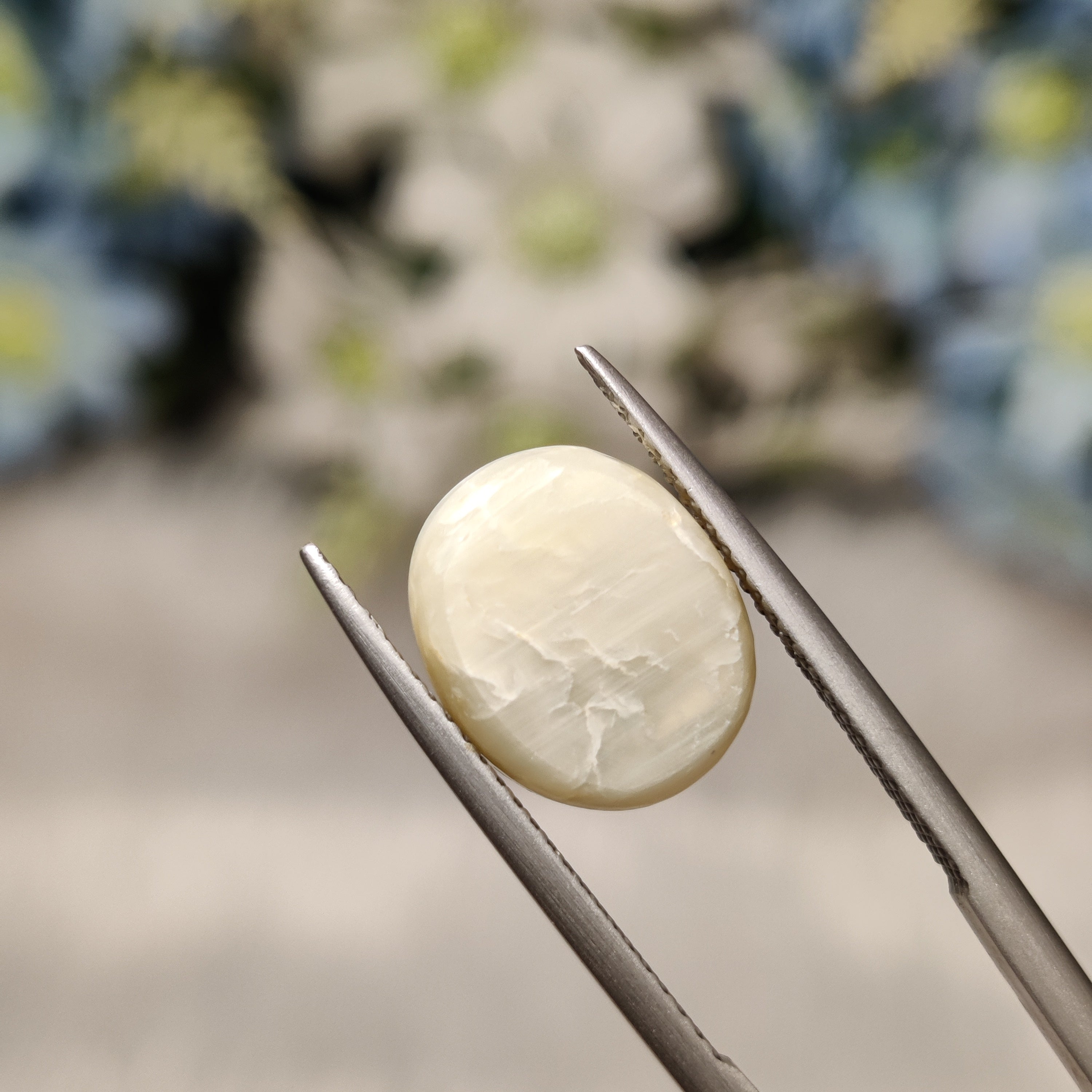 Cats Eye | CE 96 | 7.71 Carat