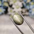 Cats Eye | CE 94 | 7.51 Carat
