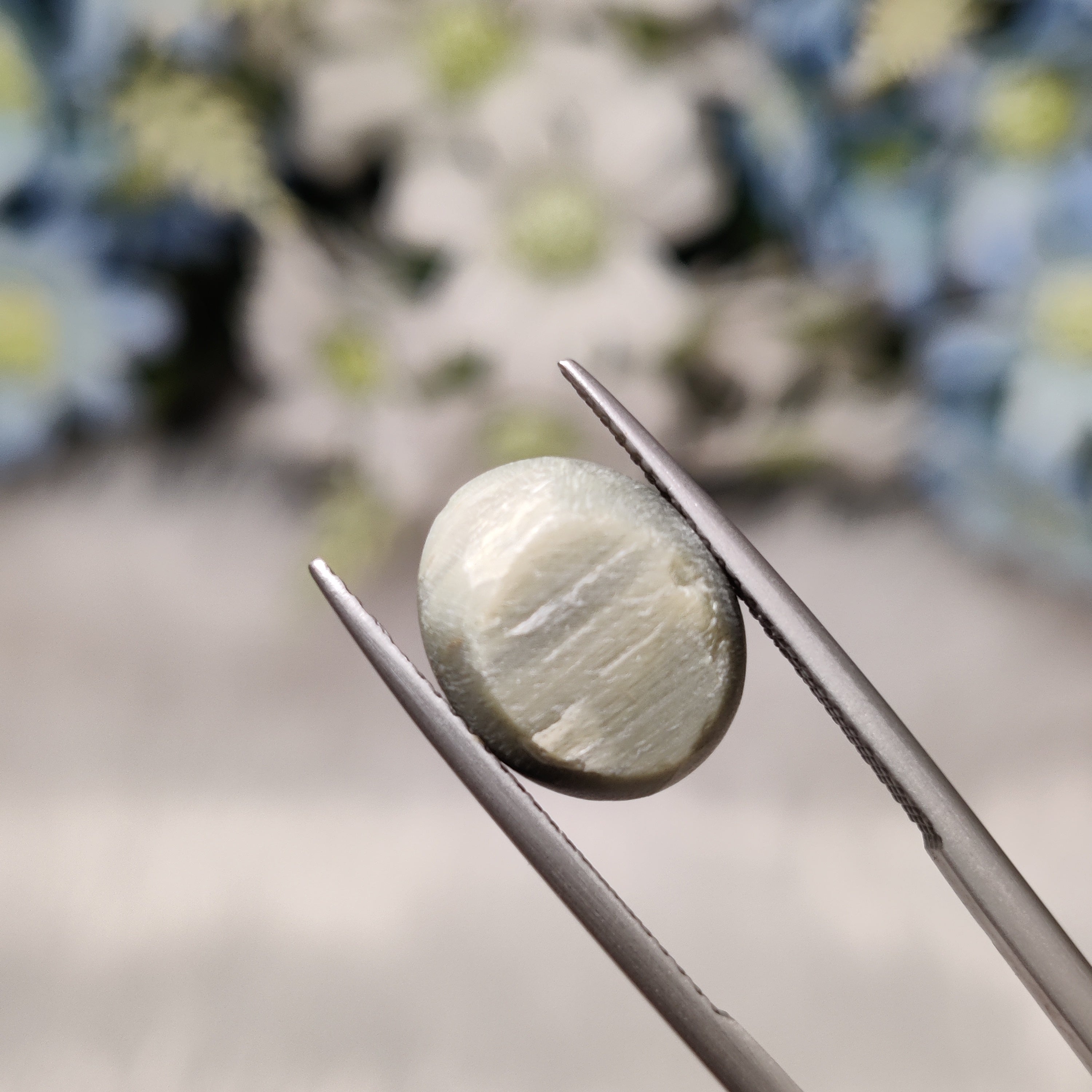 Cats Eye | CE 94 | 7.51 Carat