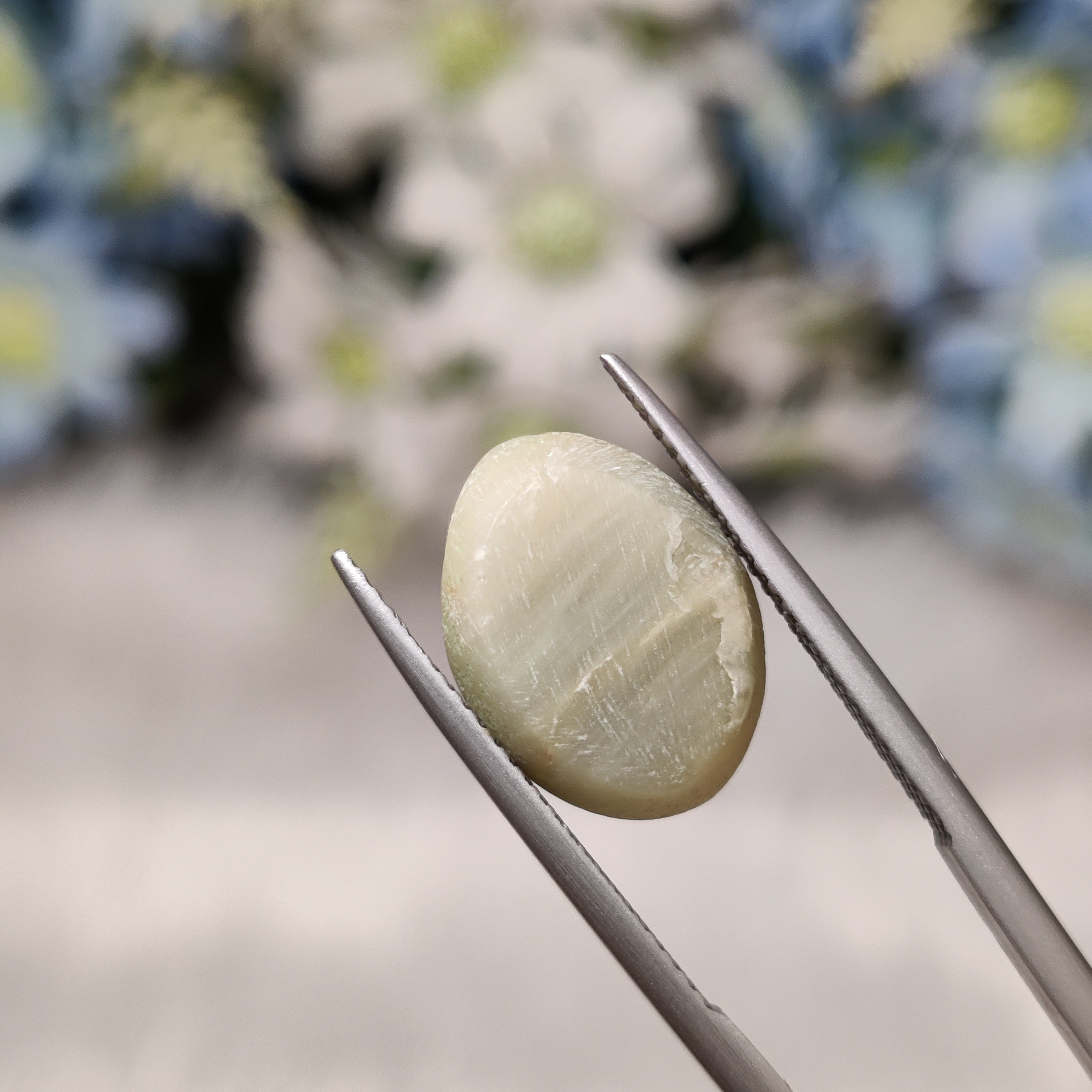 Cats Eye | CE 72 | 7.65 Carat