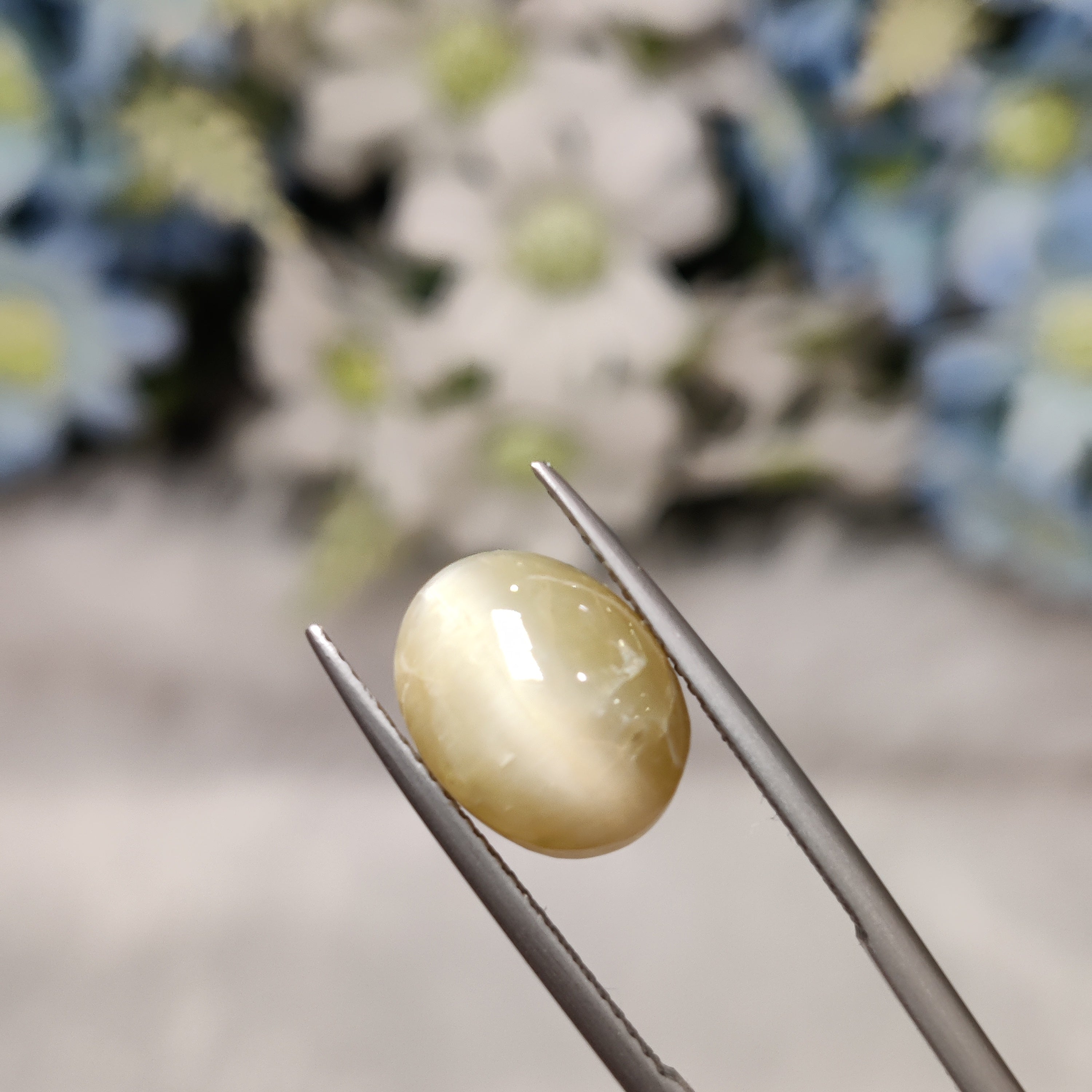 Cats Eye | CE 74 | 7.49 Carat