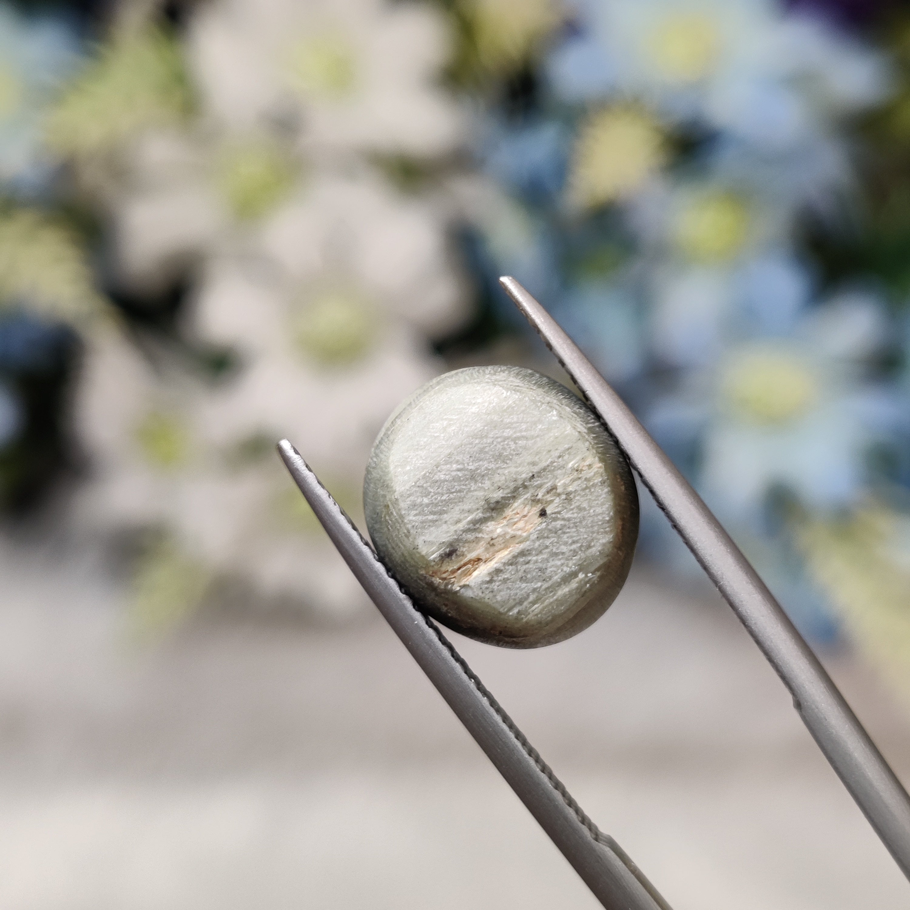 Cats Eye | CE 59 | 7.84 Carat