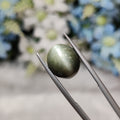 Cats Eye | CE 61 | 7.25 Carat