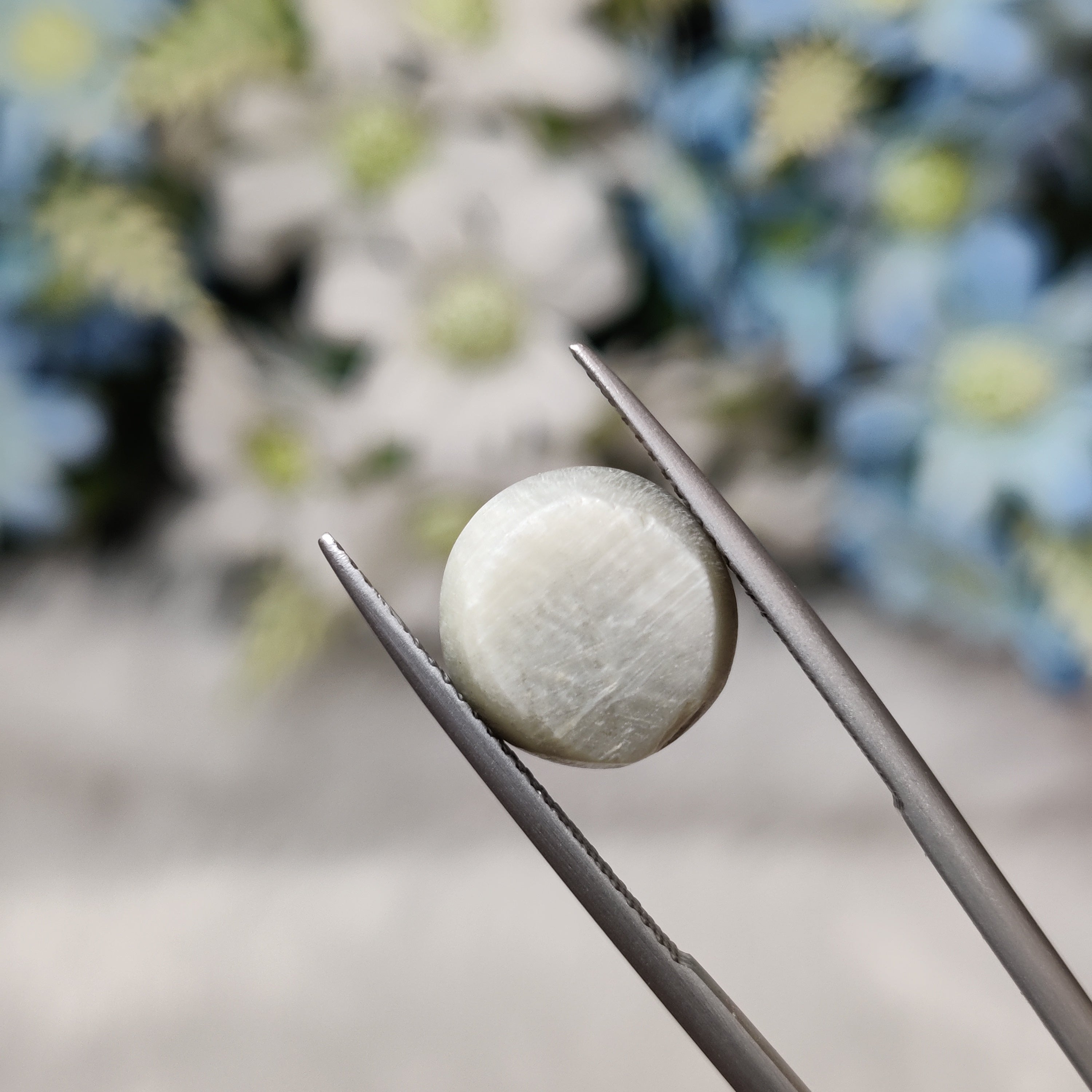 Cats Eye | CE 101 | 7.66 Carat