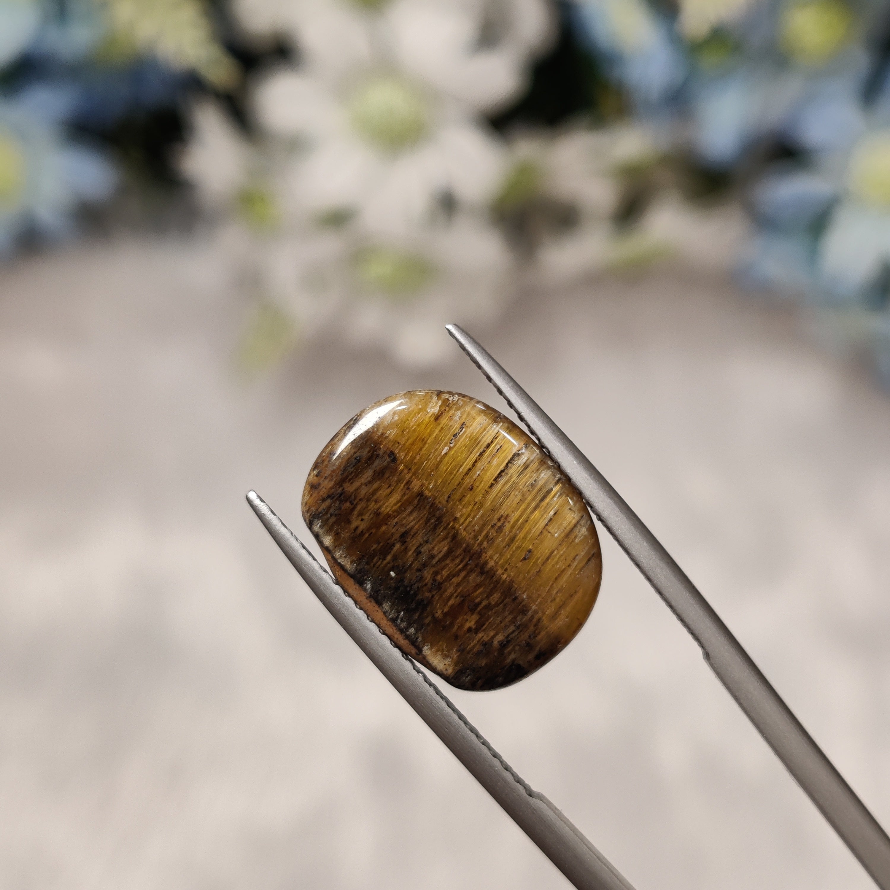 Tiger Eye | TE 11 | 7.64 Carat