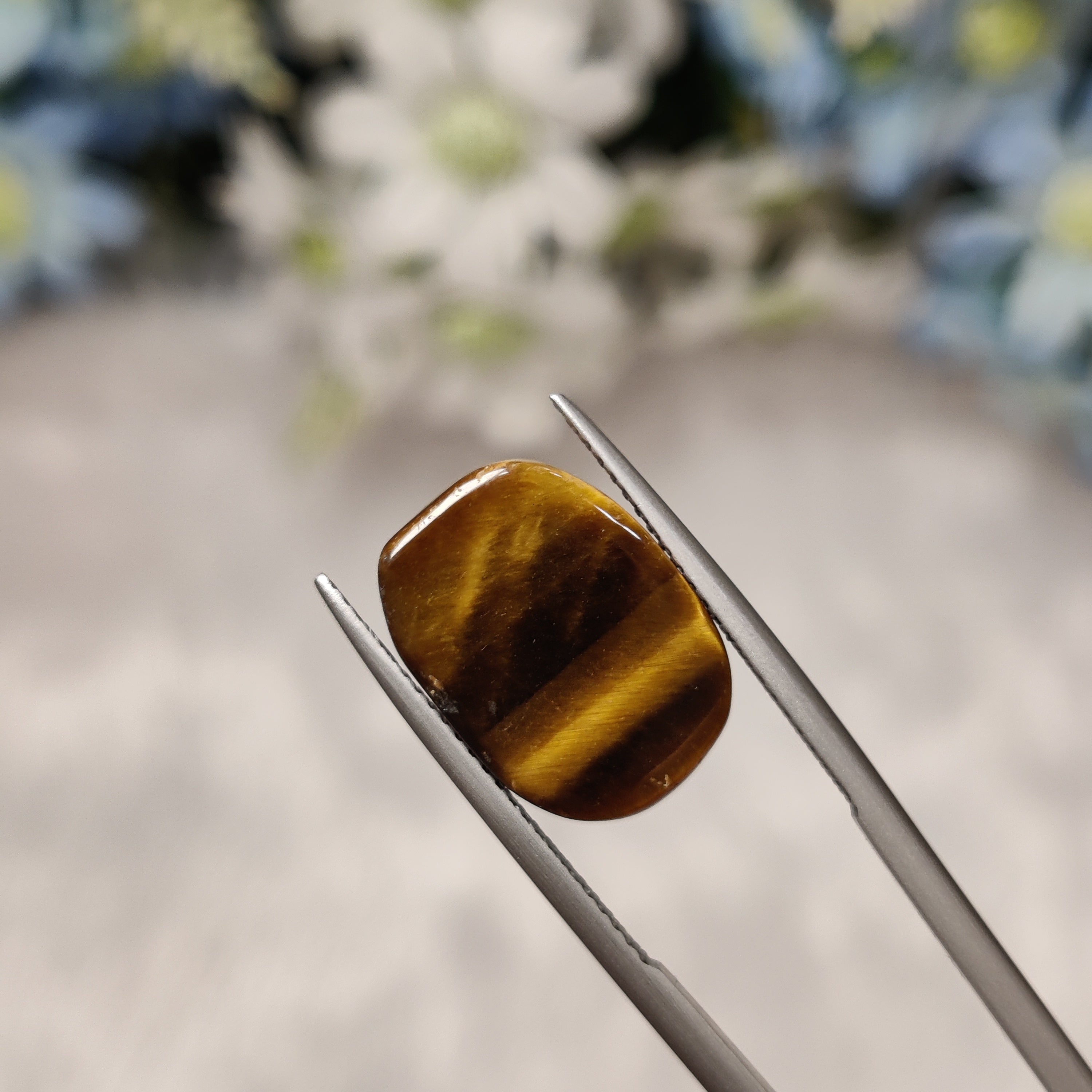 Tiger Eye | TE 5 | 8.69 Carat