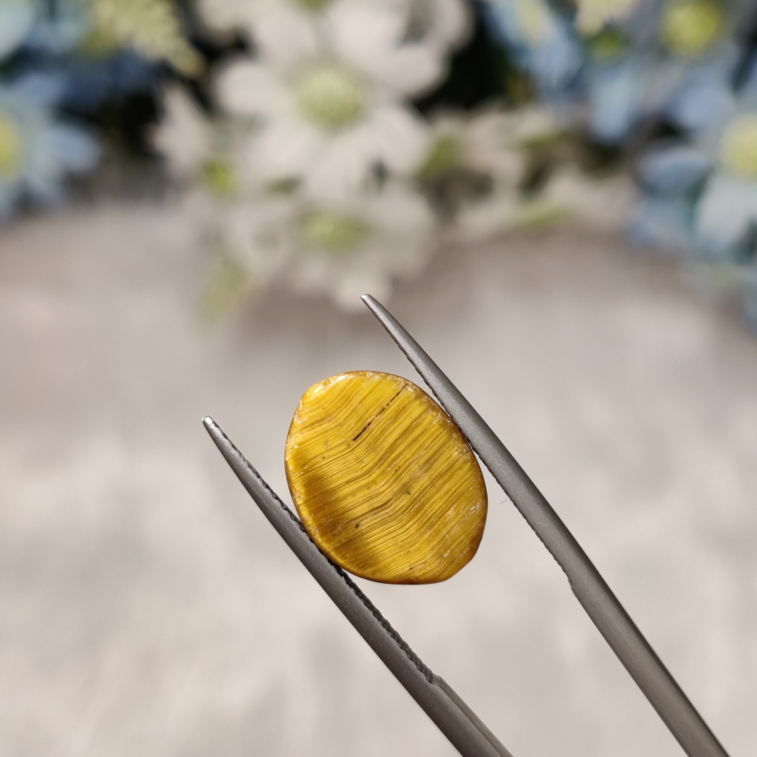 Tiger Eye | TE 6 | 7.46 Carat