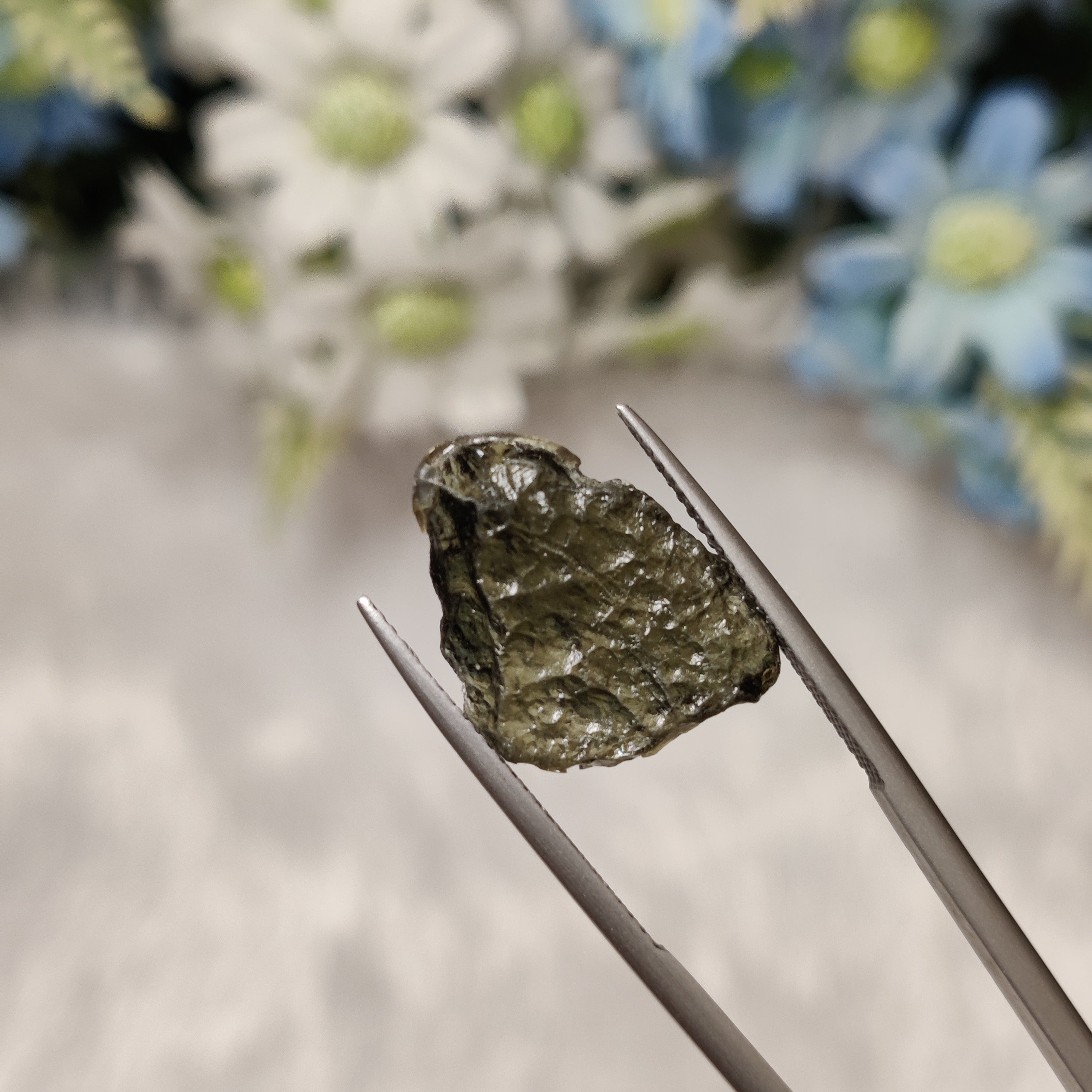 Moldavite | MOL 9 | 6.3 Carat