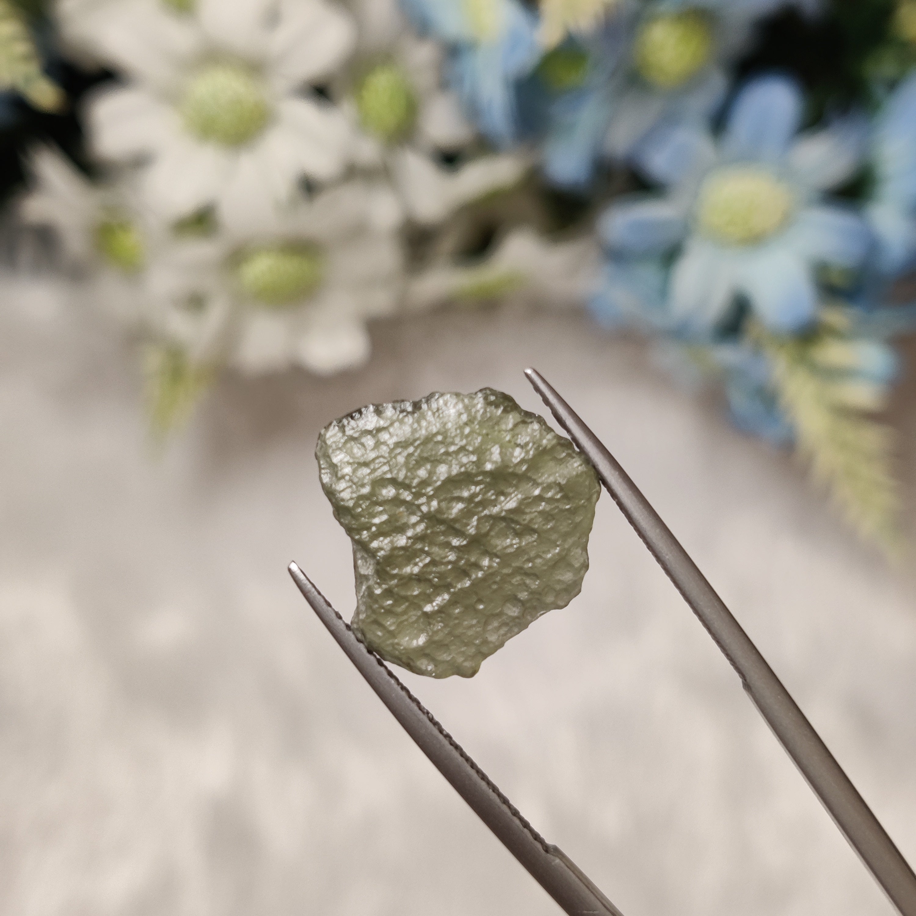 Moldavite | MOL 4 | 4.59 Carat