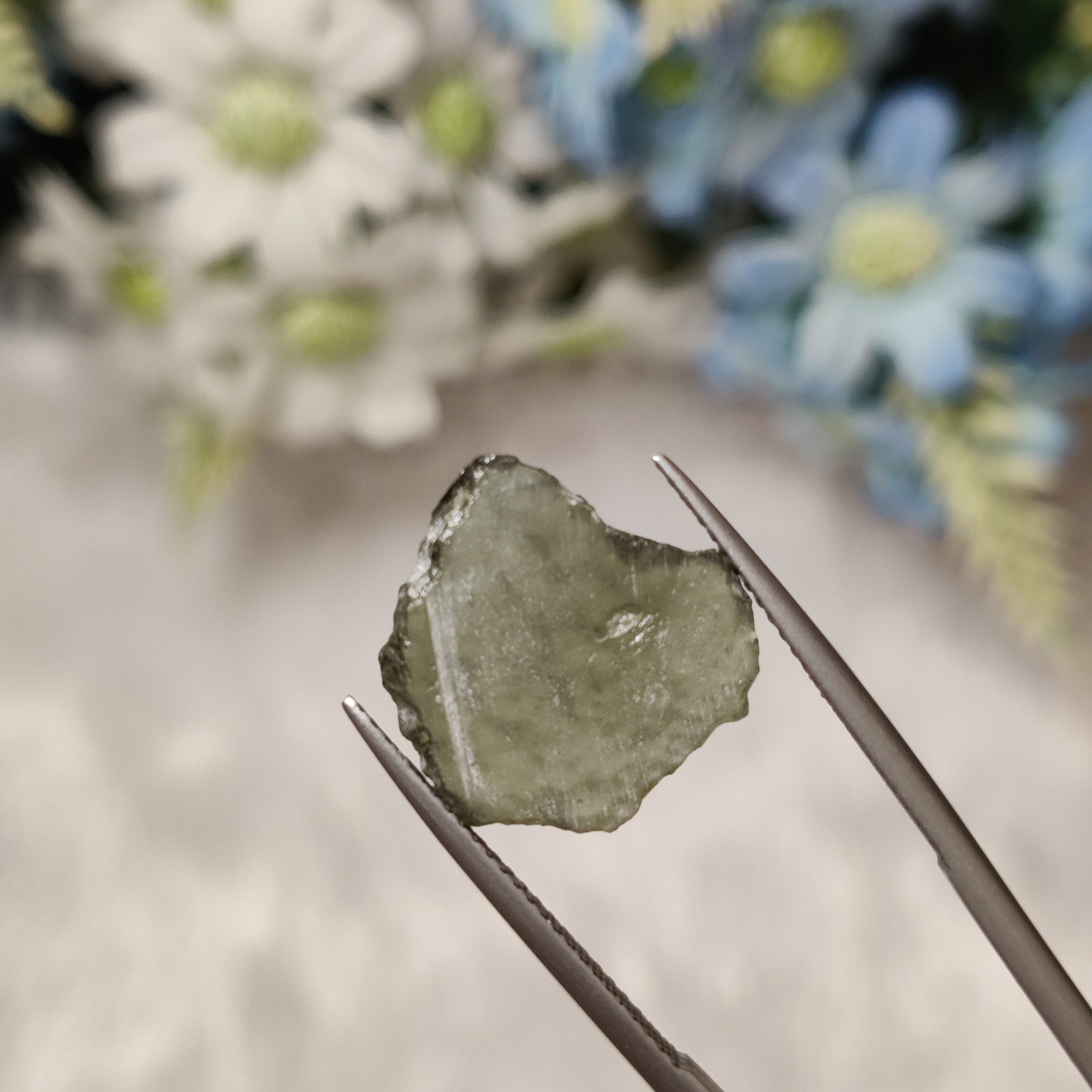 Moldavite | MOL 4 | 4.59 Carat