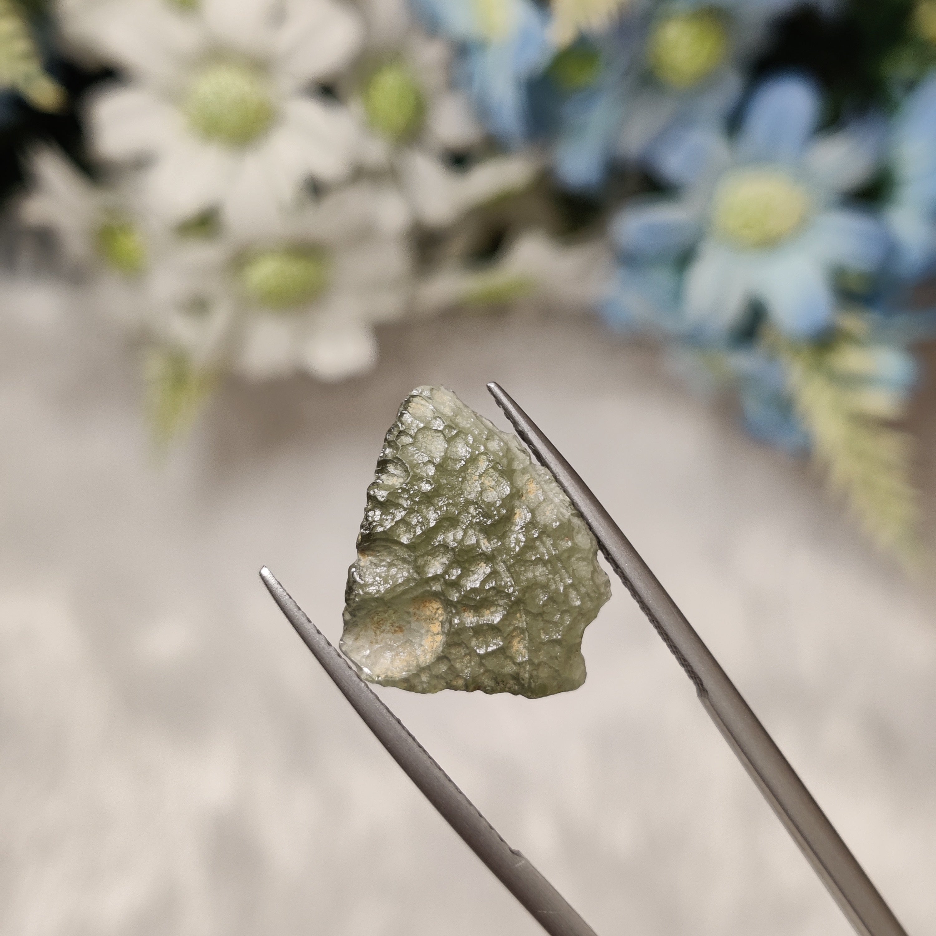 Moldavite | MOL 6 | 4.83 Carat