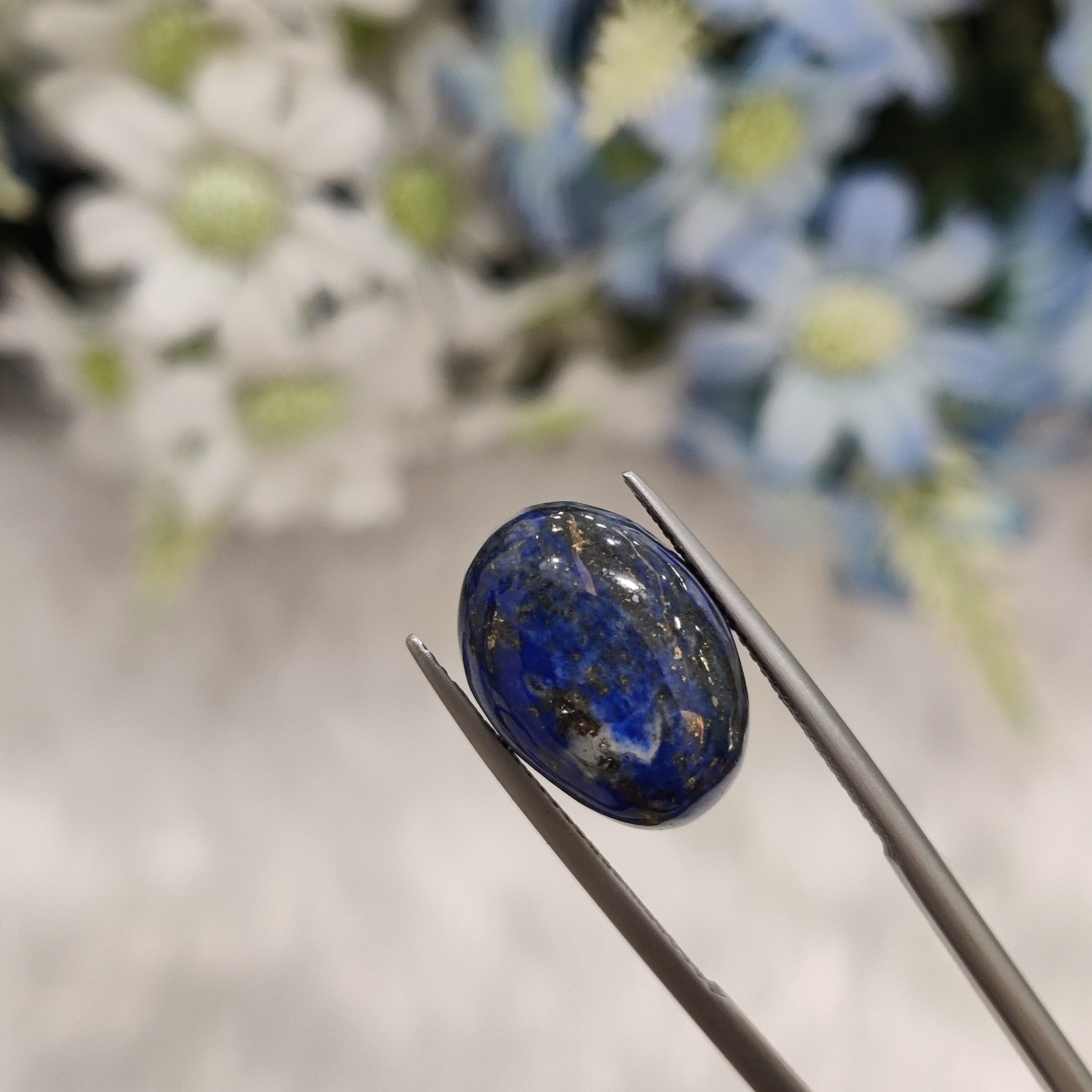 Lapis Lazuli | Lapis 11 | 12.4 Carat
