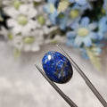 Lapis Lazuli | Lapis 8 | 12.58 Carat