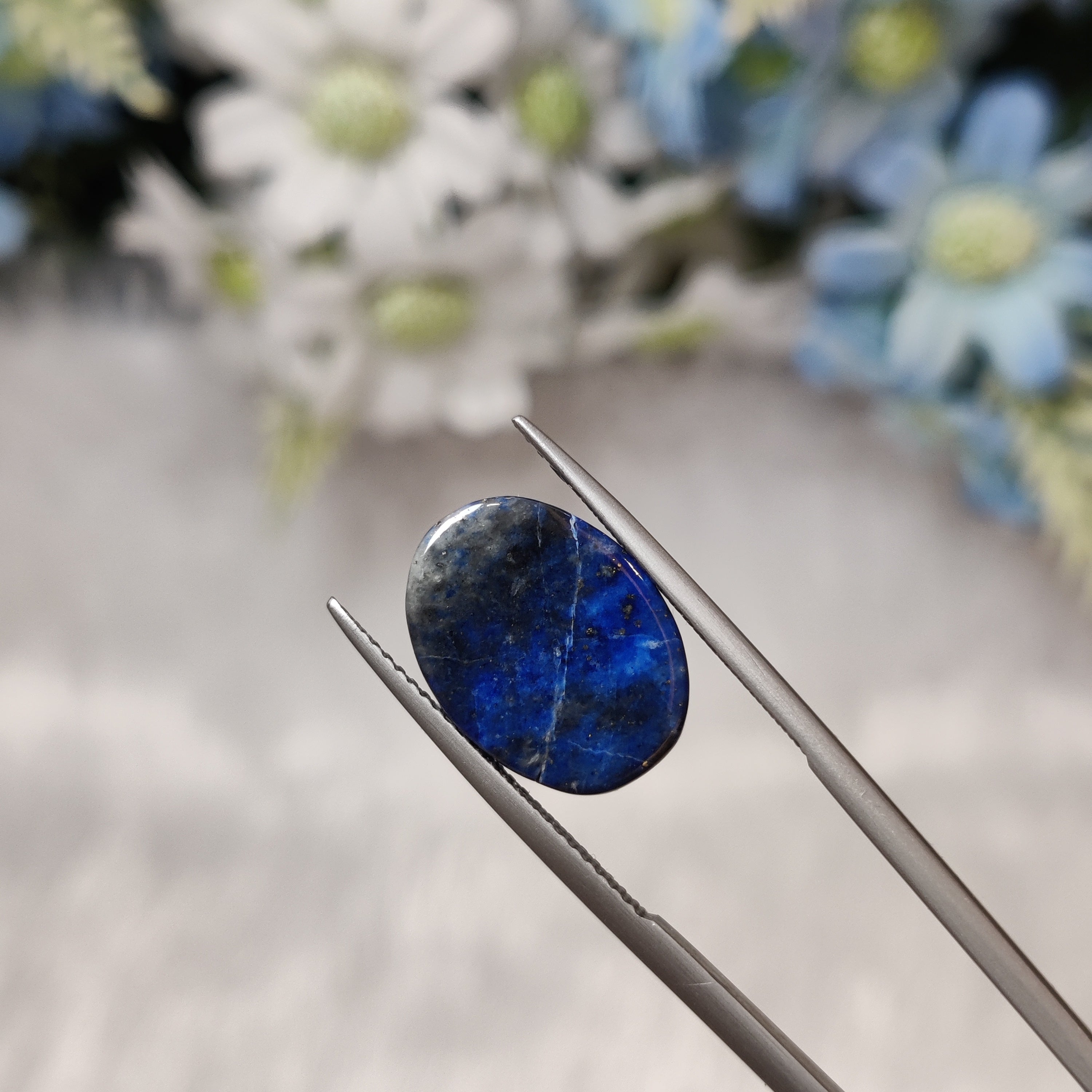 Lapis Lazuli | Lapis 10 | 11.69 Carat